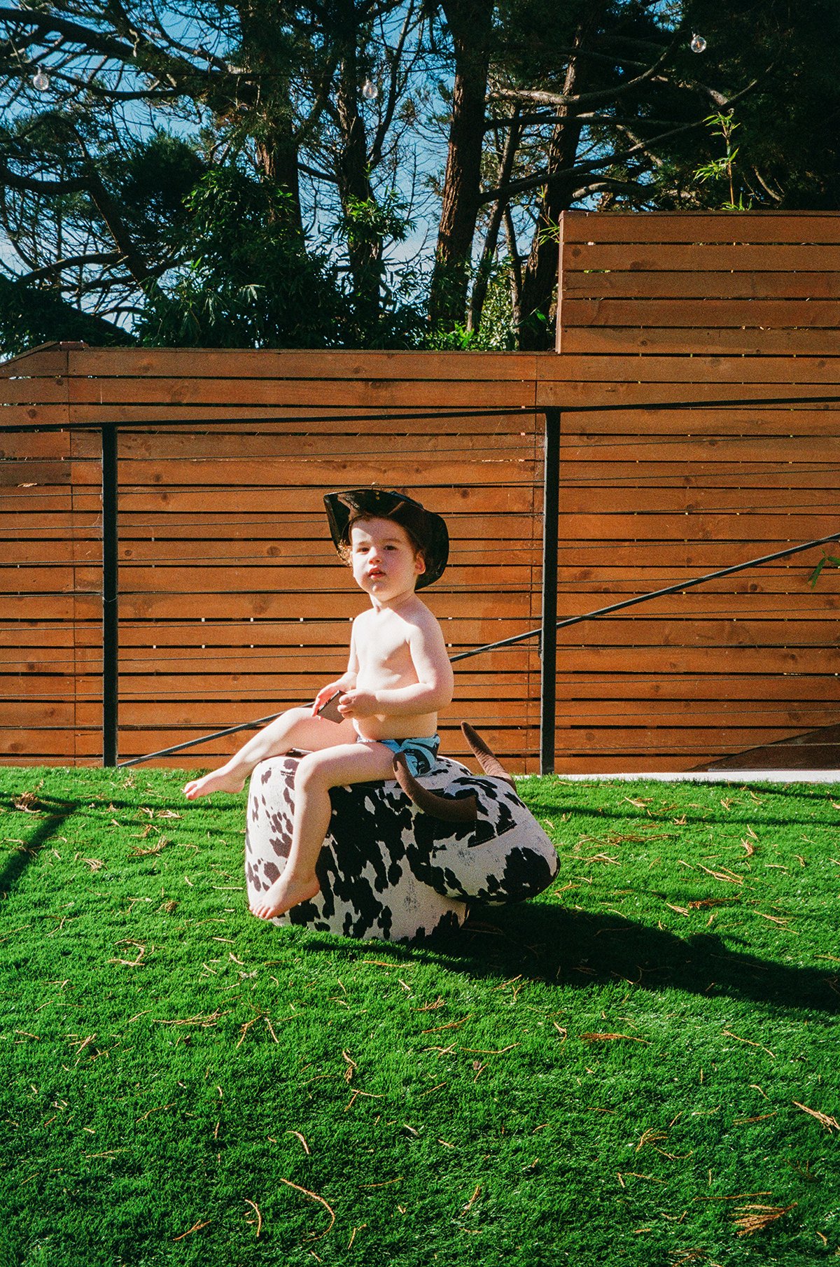 A young boy wearing a cowboy hat sits on a cow-shaped outdoor sculpture in a grassy backyard, with a wooden fence and tall trees in the background. Glen Park San Francisco family photos in film. 
