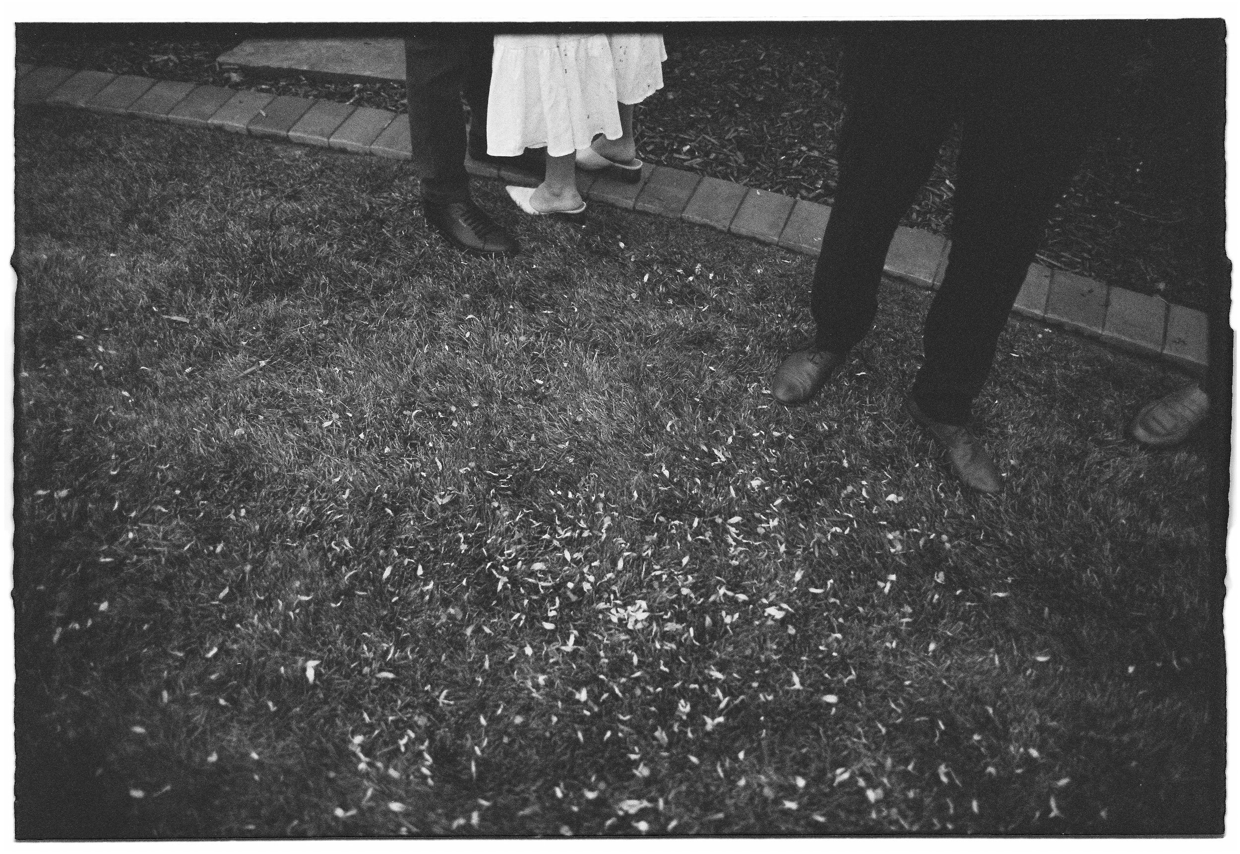 Three people standing on grass with scattered flower petals. Film Santa Barbara backyard elopement .
