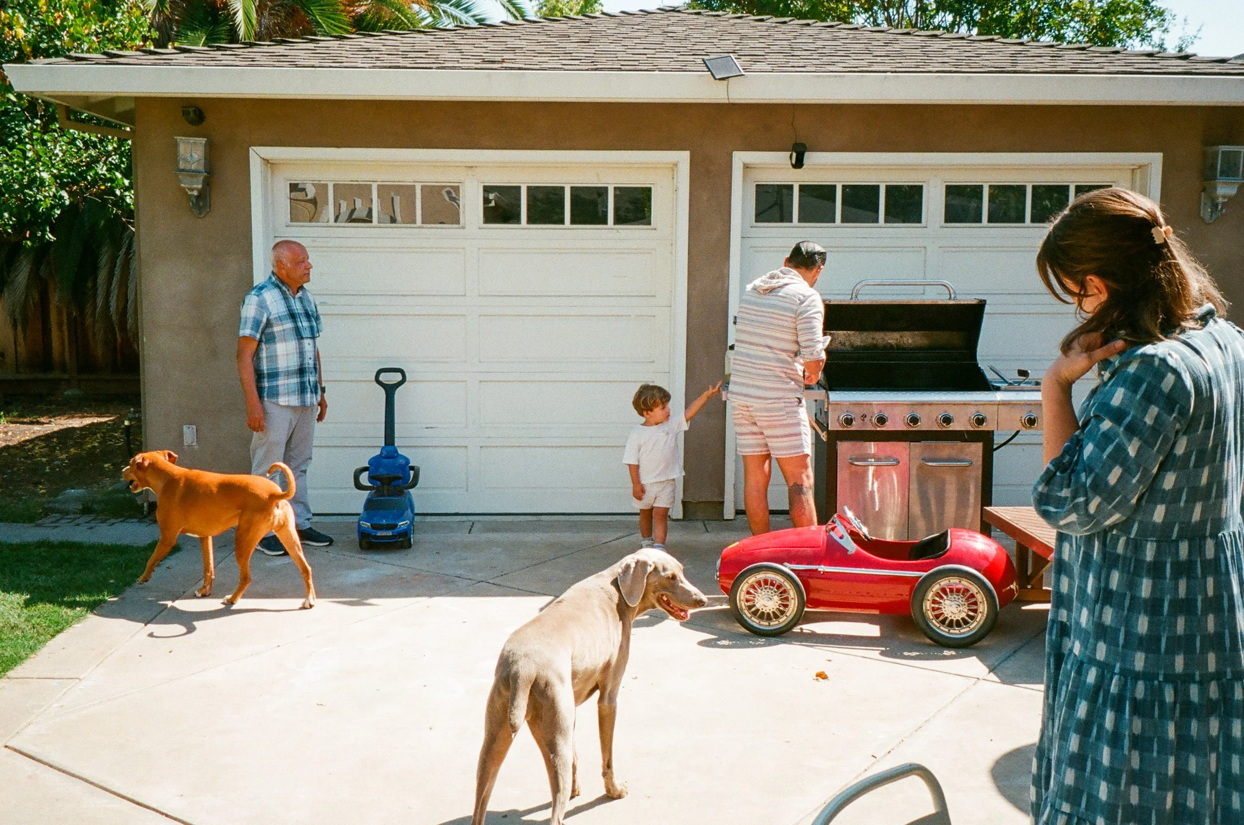 A family gathered outside a house during a barbecue. There are two dogs, a red toy car, a grill with a man cooking, a small child reaching for the grill, and a woman on the right in a checkered dress watching. An older man stands near a garage door, 