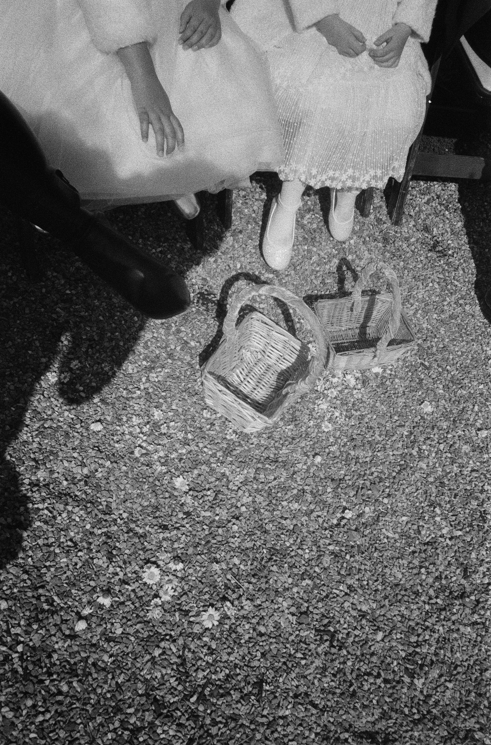 Top-down view in black and white film of flower girls  sitting on chairs, with two wicker baskets on ground below them at Switzer Farm in Westport, California Mendocino County. 