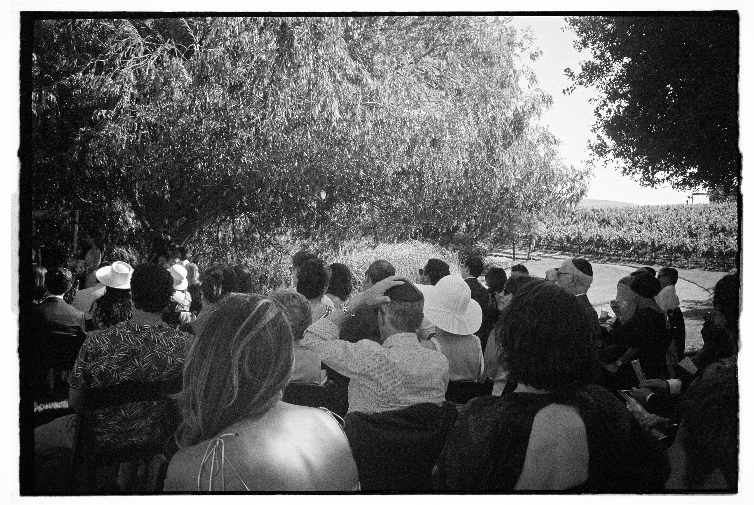 People gathering outdoors under trees, some wearing hats, in a field or vineyard, possibly for a ceremony or event. Rams gate wedding, California in film. 