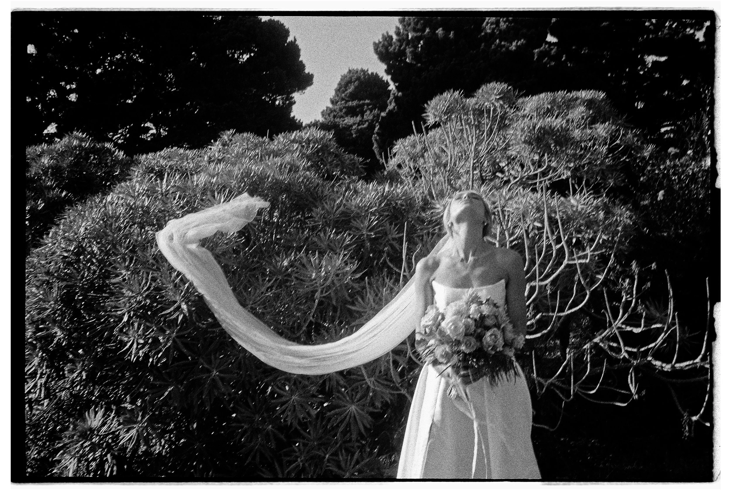 Black and white photo of a bride holding a bouquet of flowers, standing outdoors among bushes and trees. Heritage house Mendocino California Wedding. 
