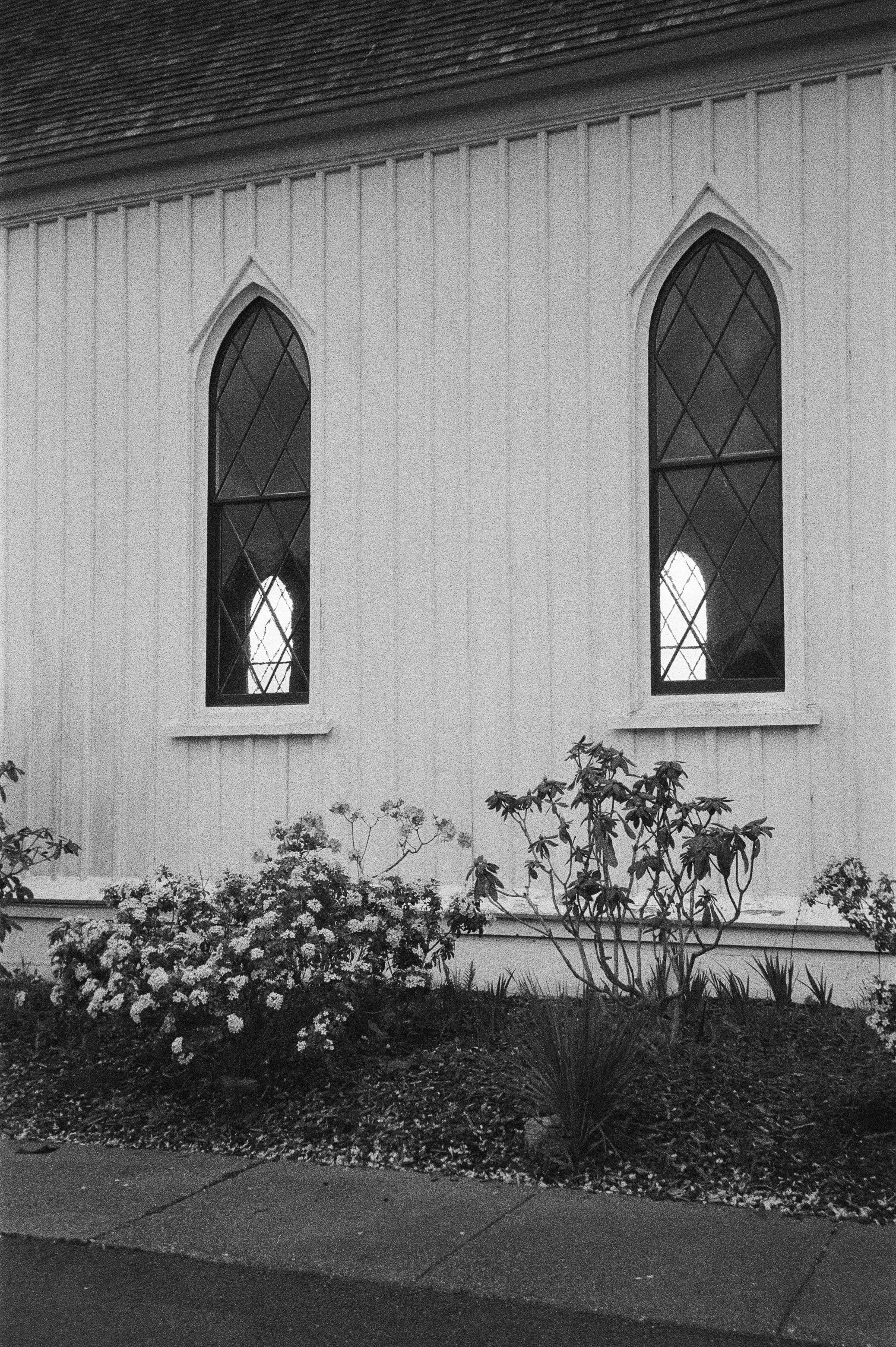 Black and white photo of the exterior wall of a building with two tall, narrow, arched windows with diamond-shaped panes. There are flowers and bushes in front of the wall, and a sidewalk at the bottom of the image. Mendocino church in film. 