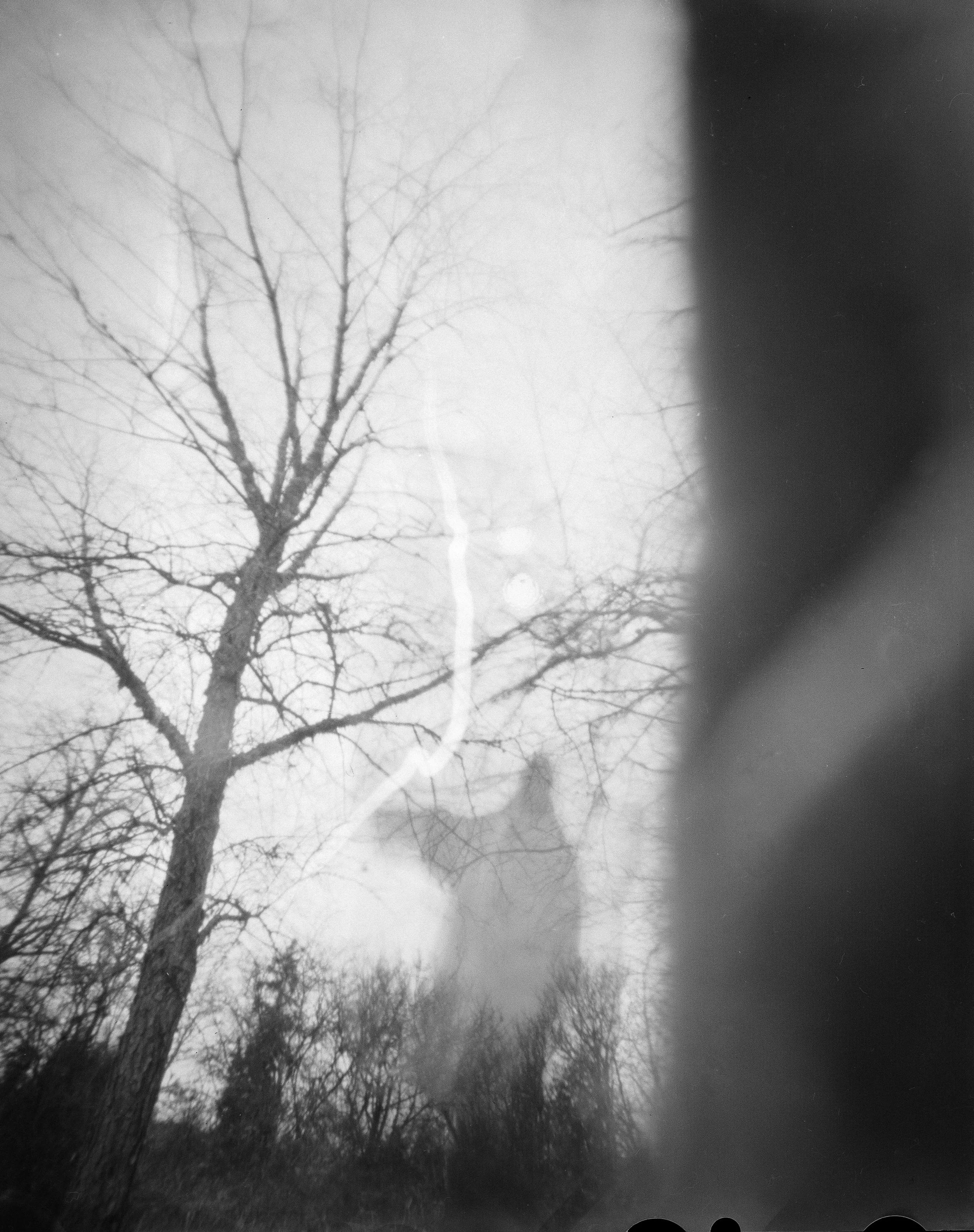 Tacoma-Film-Photos-Abi-Q-pinhole-Photography-oakland--2000.jpg