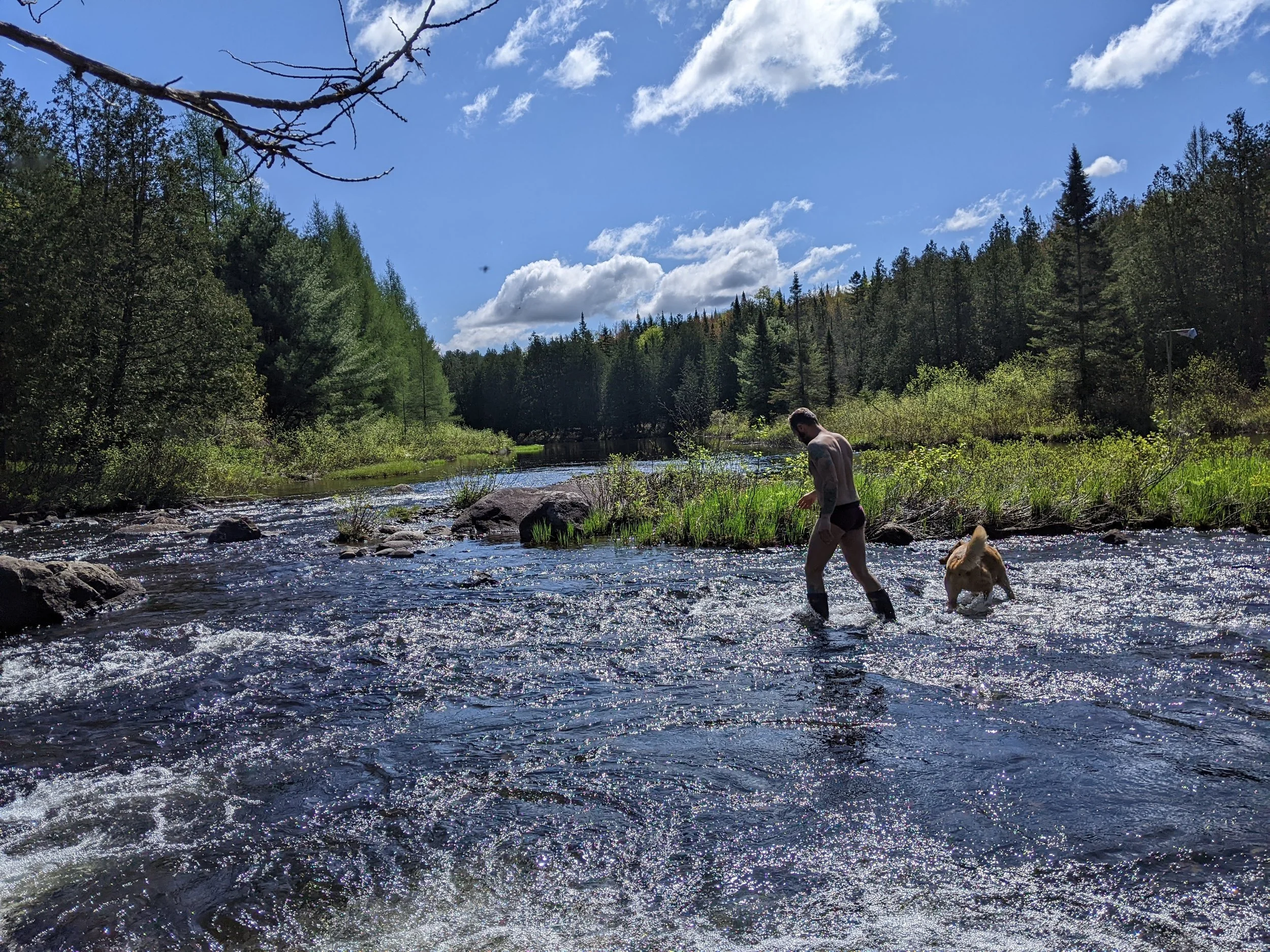 PXL_20250525_140826780 (1).jpg