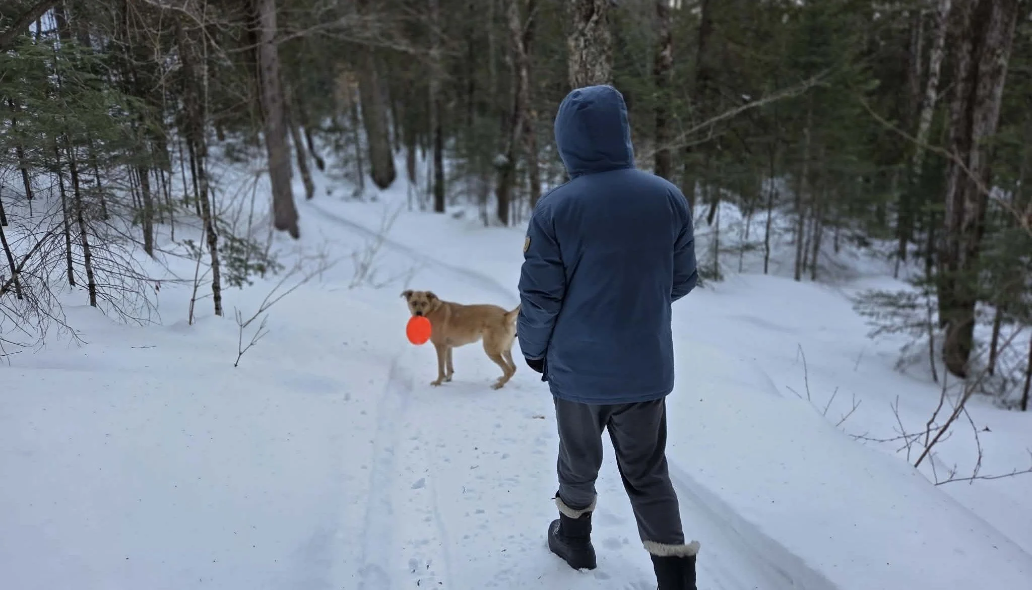 Sentier rapproché.jpg
