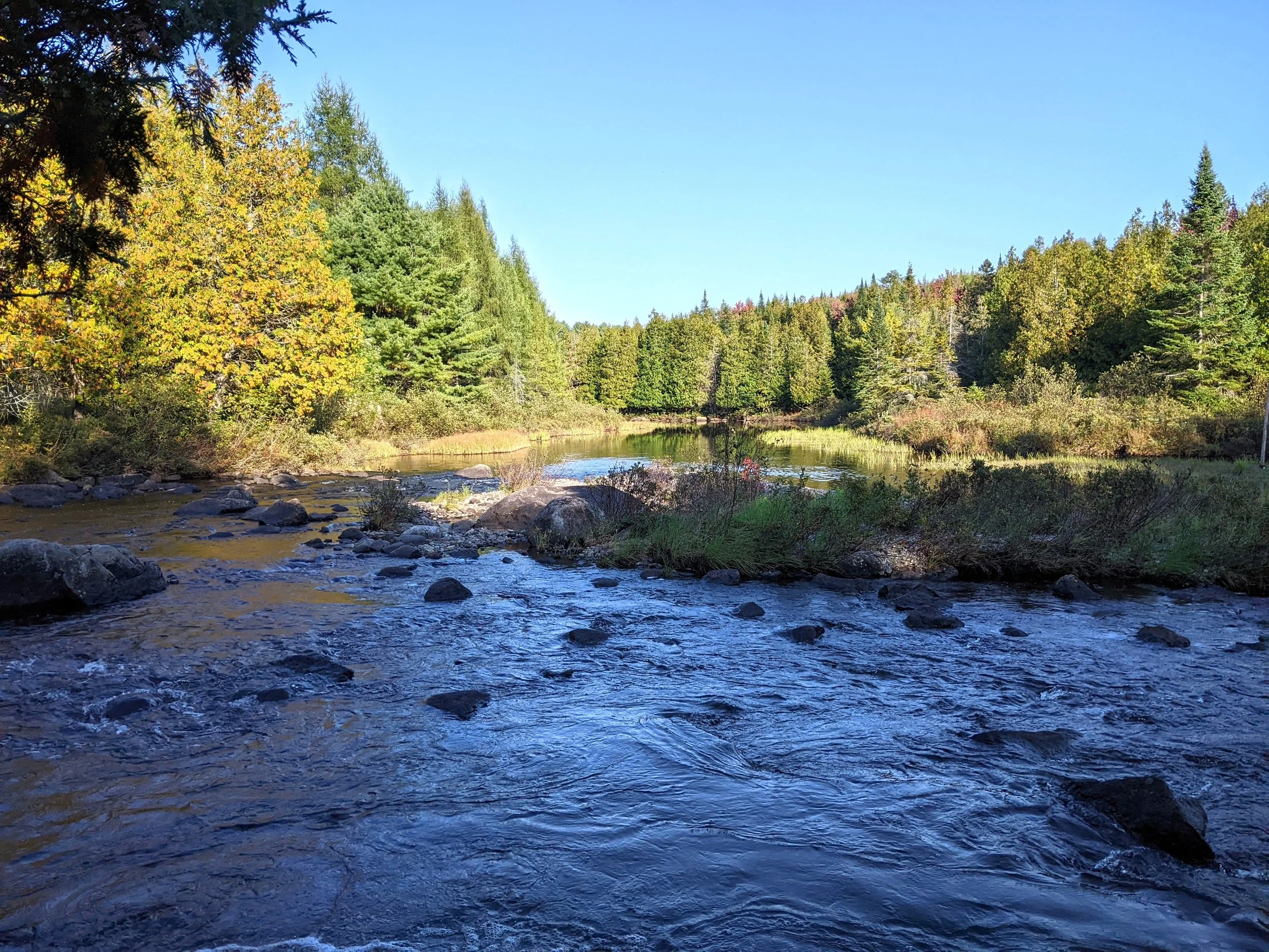 Rivière baignade.jpg