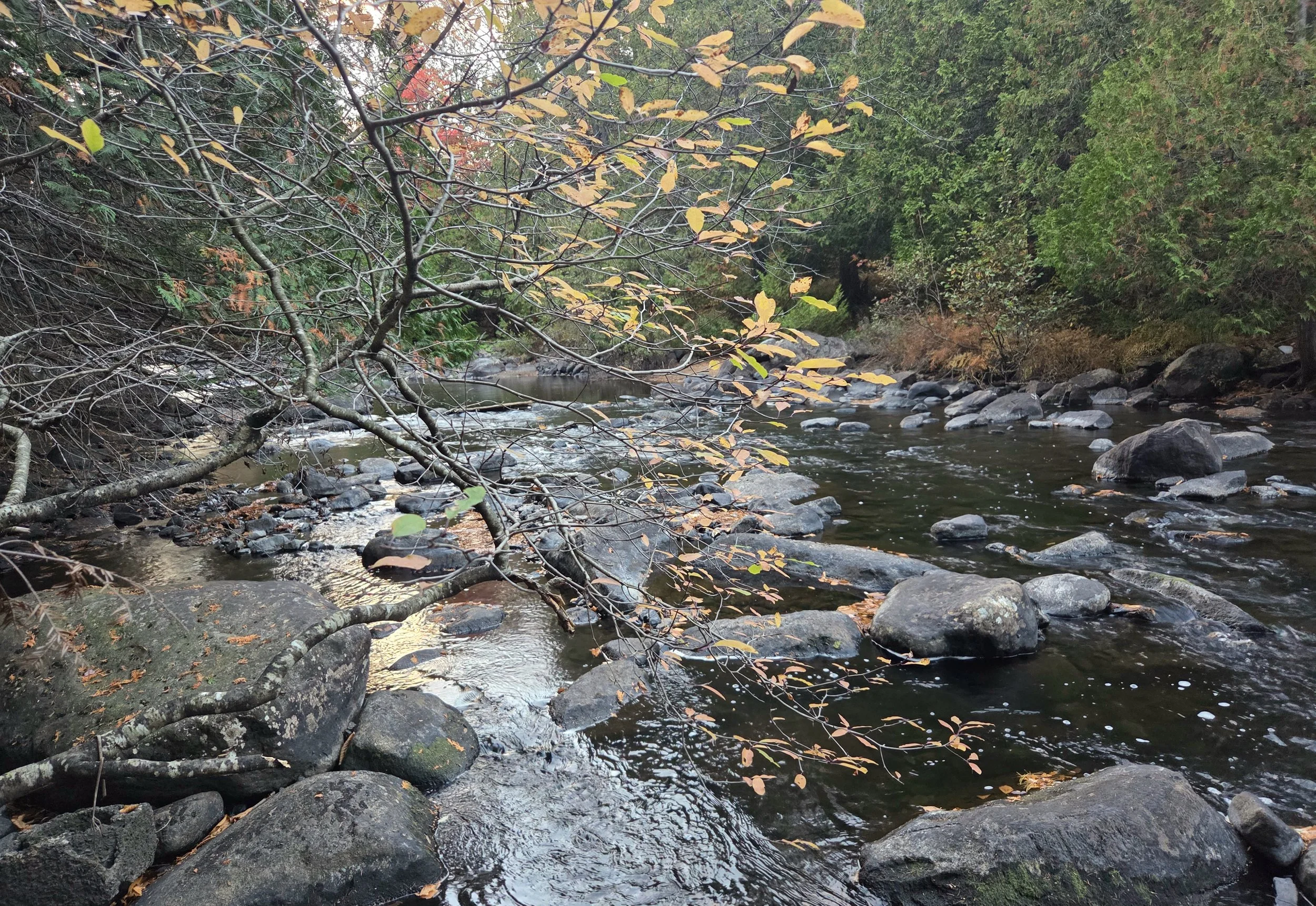 La rivière en automne
