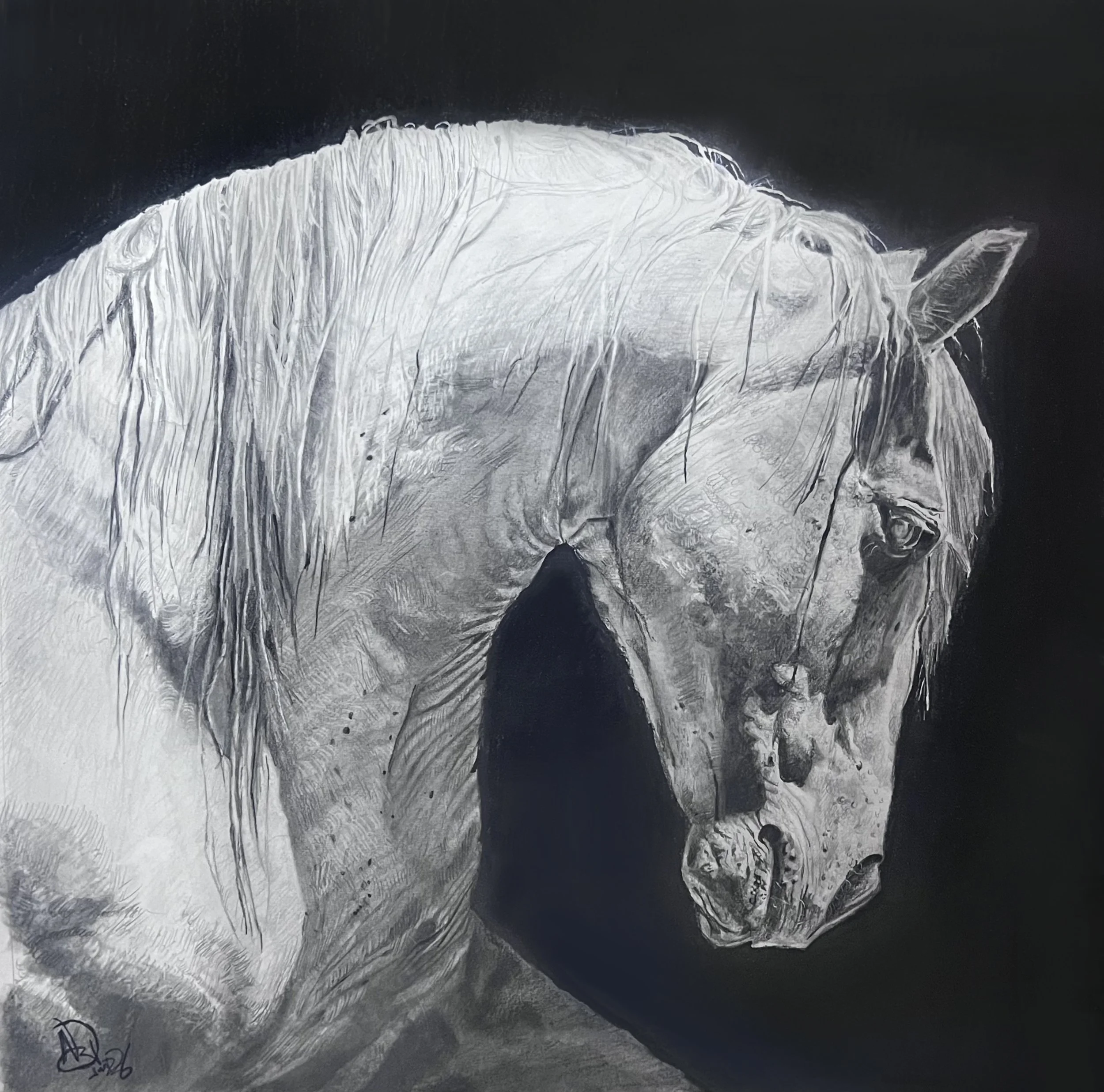 "White Marvel" art piece