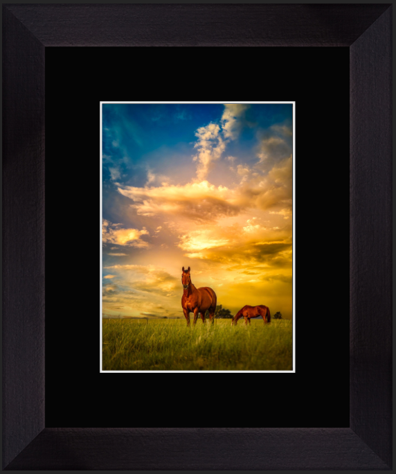 We Call Him Ernie: A Montana Ranch Tale