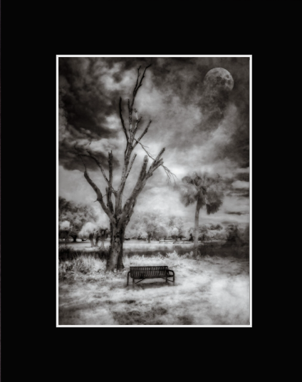 Screenshot 2026-01-27 at 9.15.55 AM.png