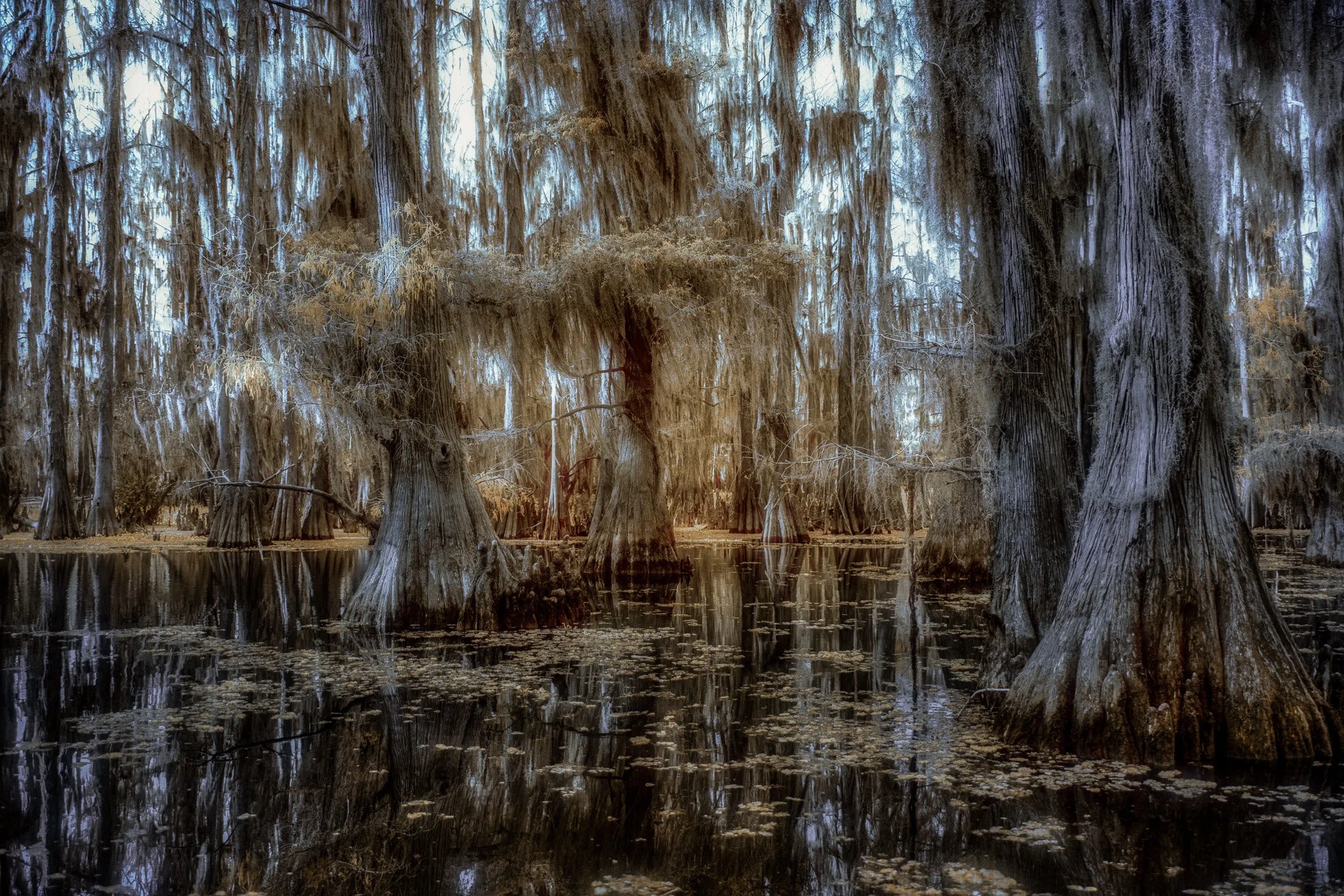 Cathedral of Water and Light