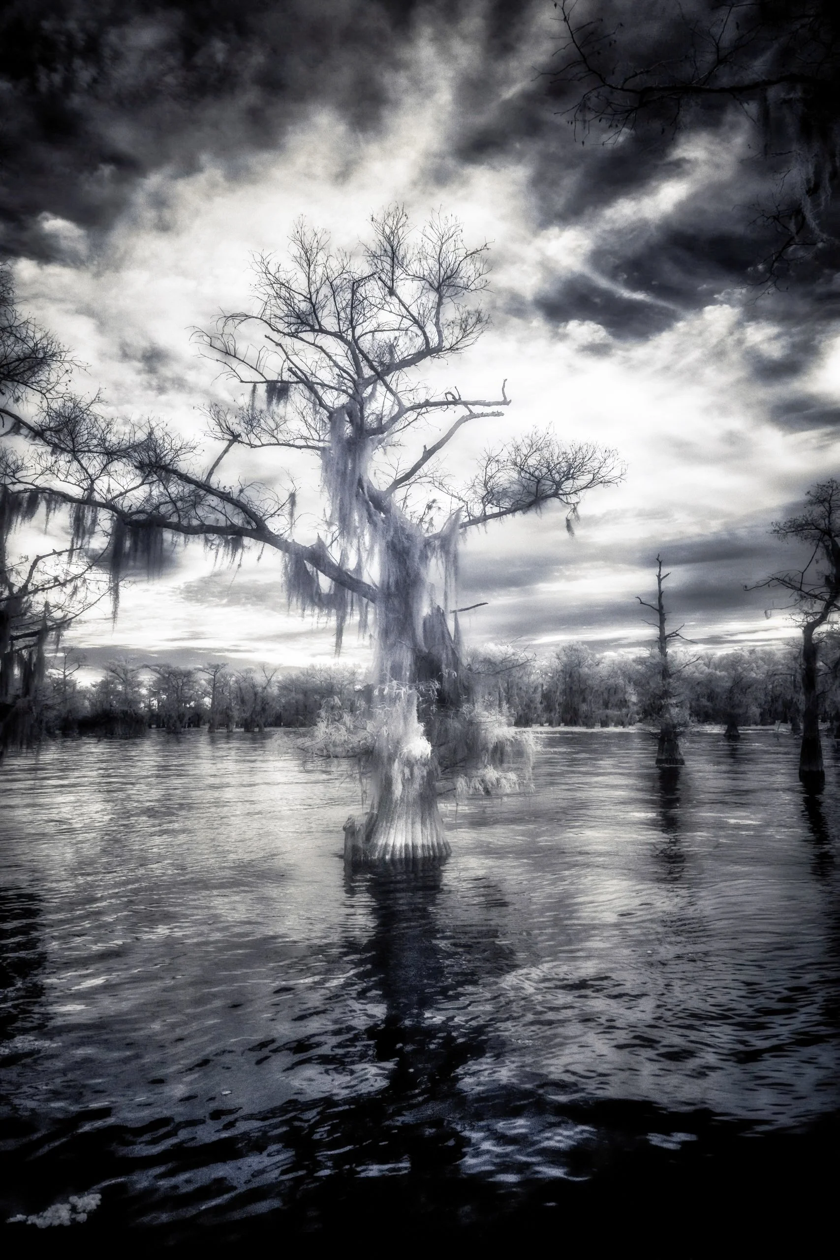 Oracle of the Flooded Forest