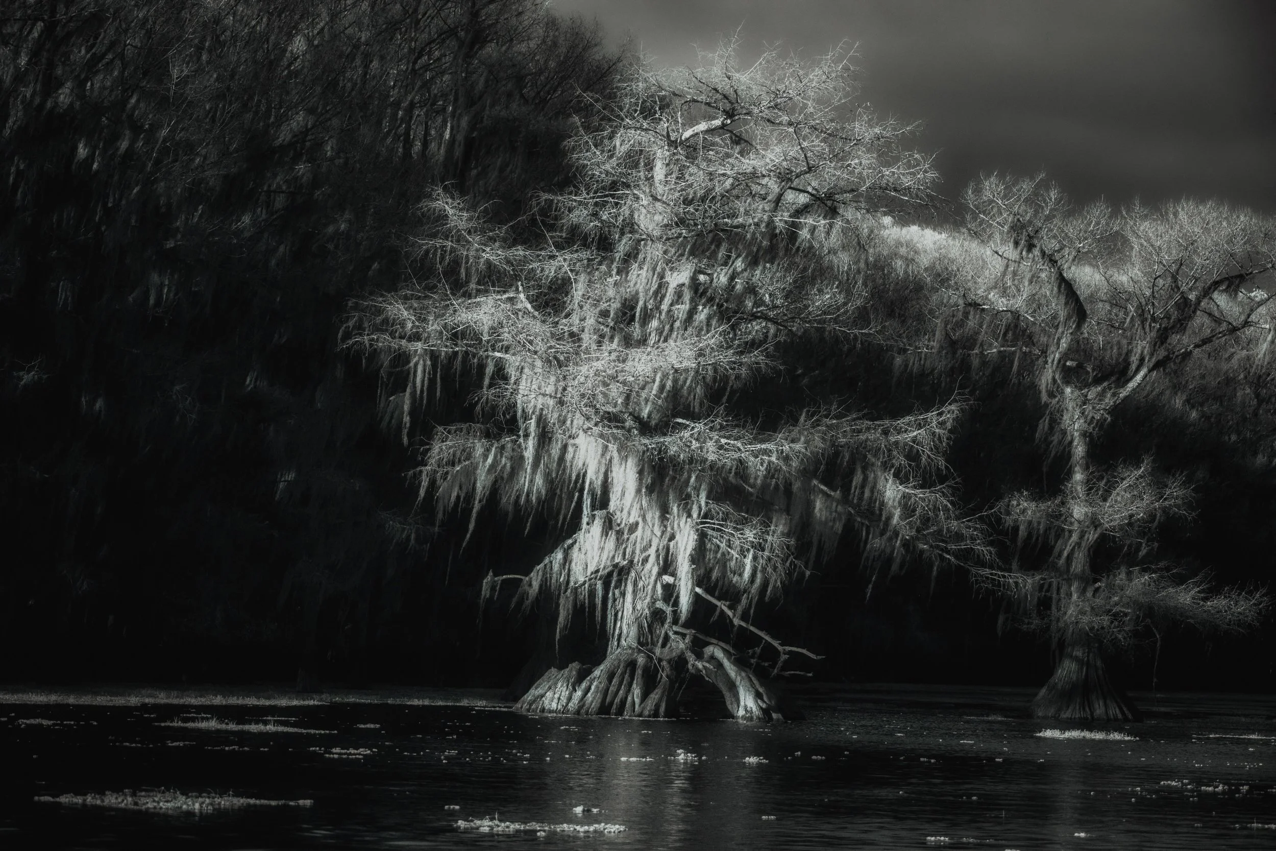 Luminous Spirits