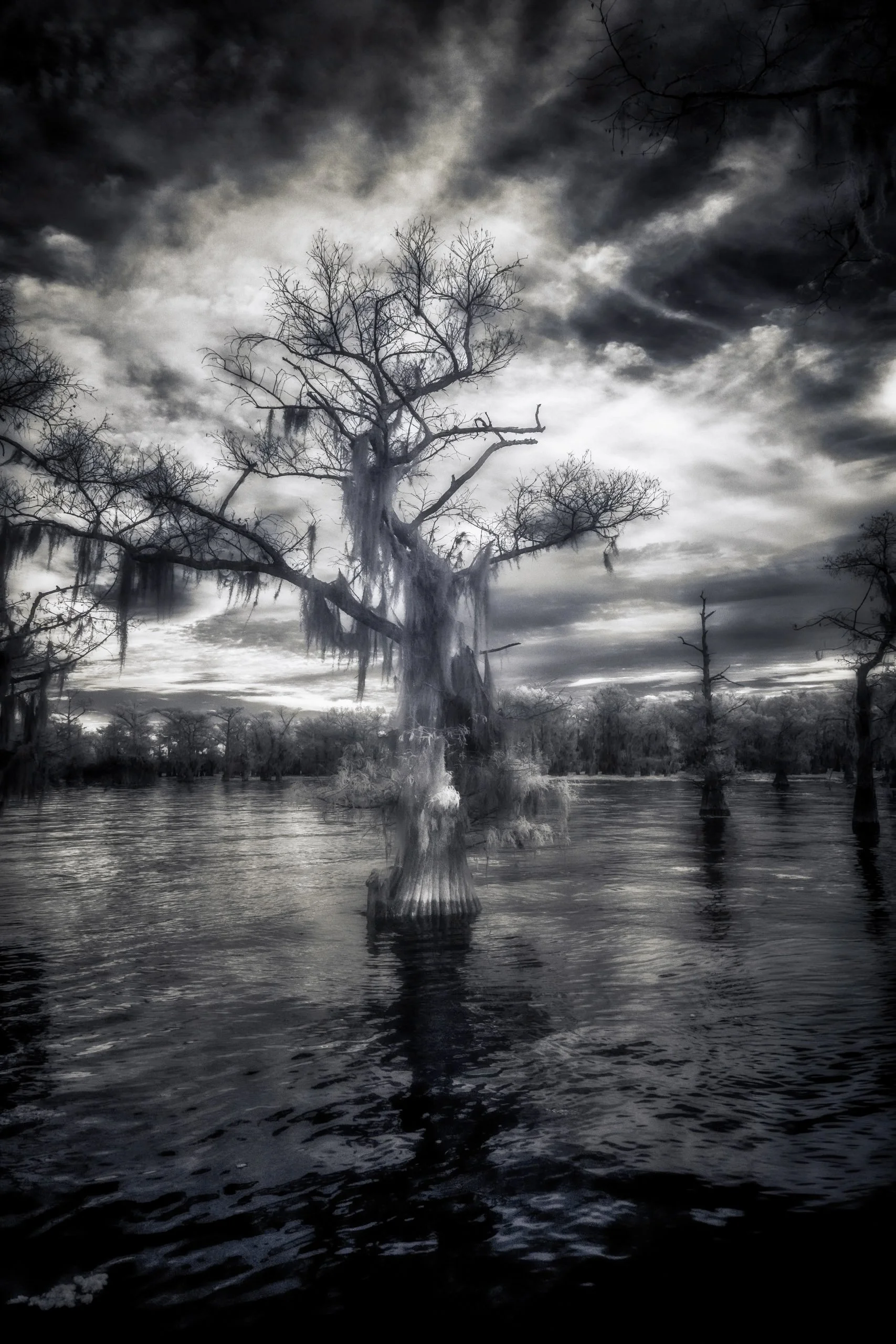 DWI_4875-2-Edit.jpg