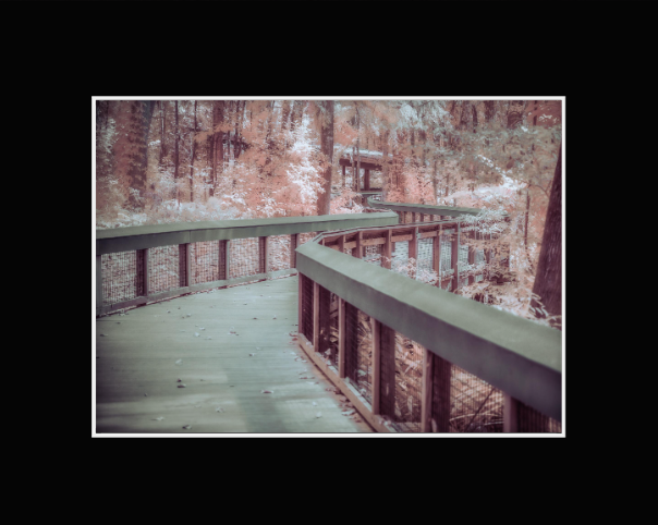 Screenshot 2026-01-27 at 9.06.33 AM.png