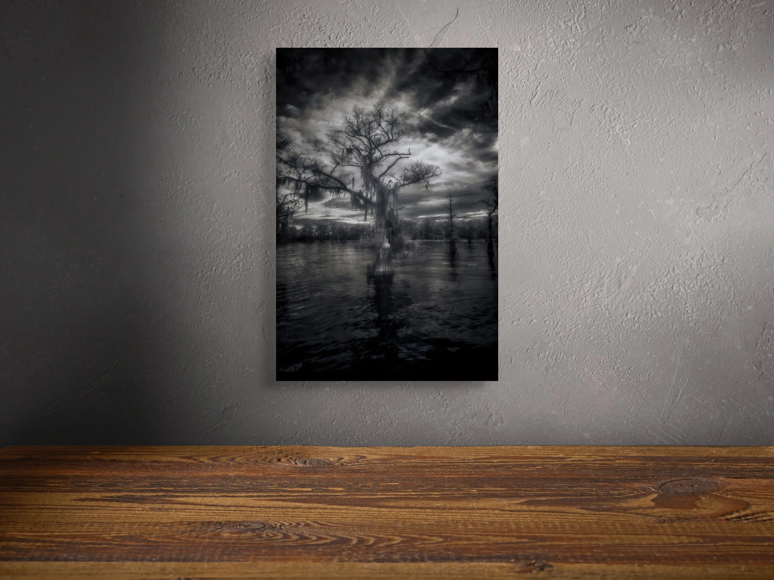 dwi_4875-2-edit-full (1).jpg