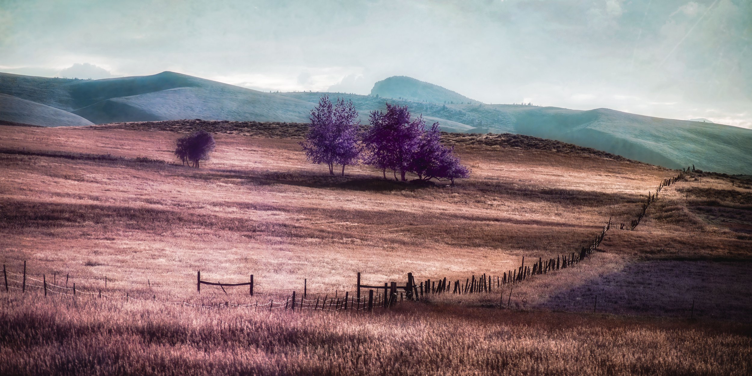 Kindred Hills