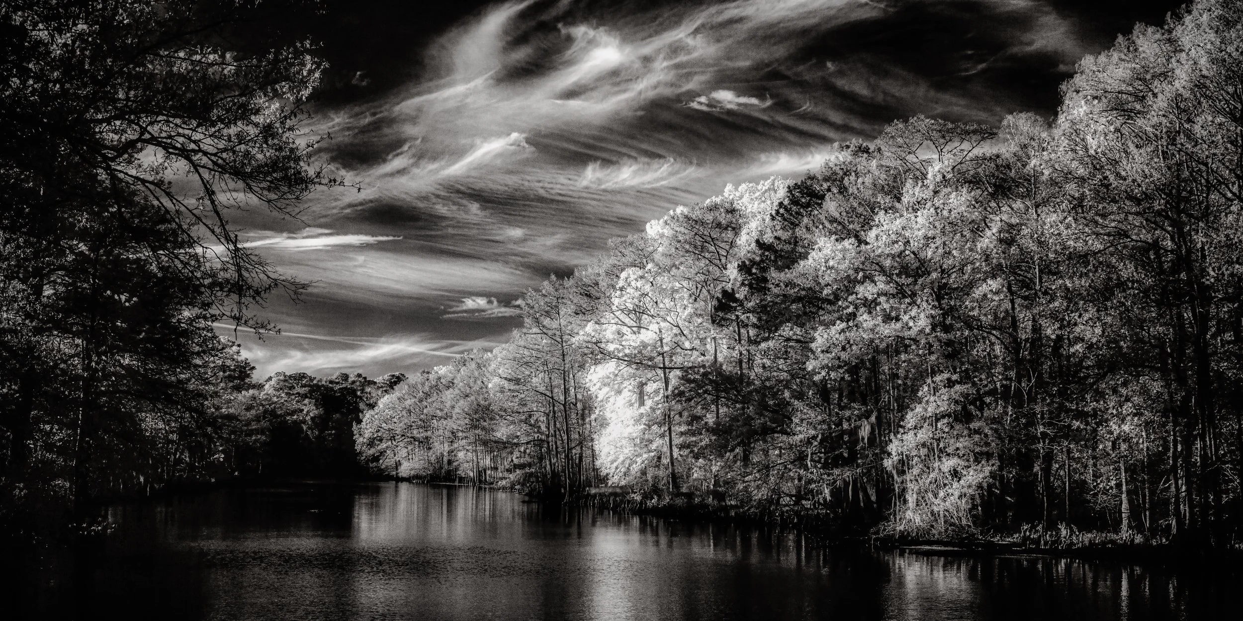 DWI_4536-Edit.jpg