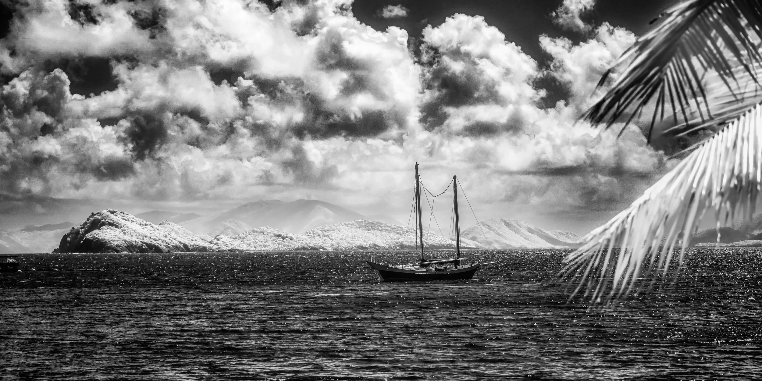 DWI_5473-Edit.jpg