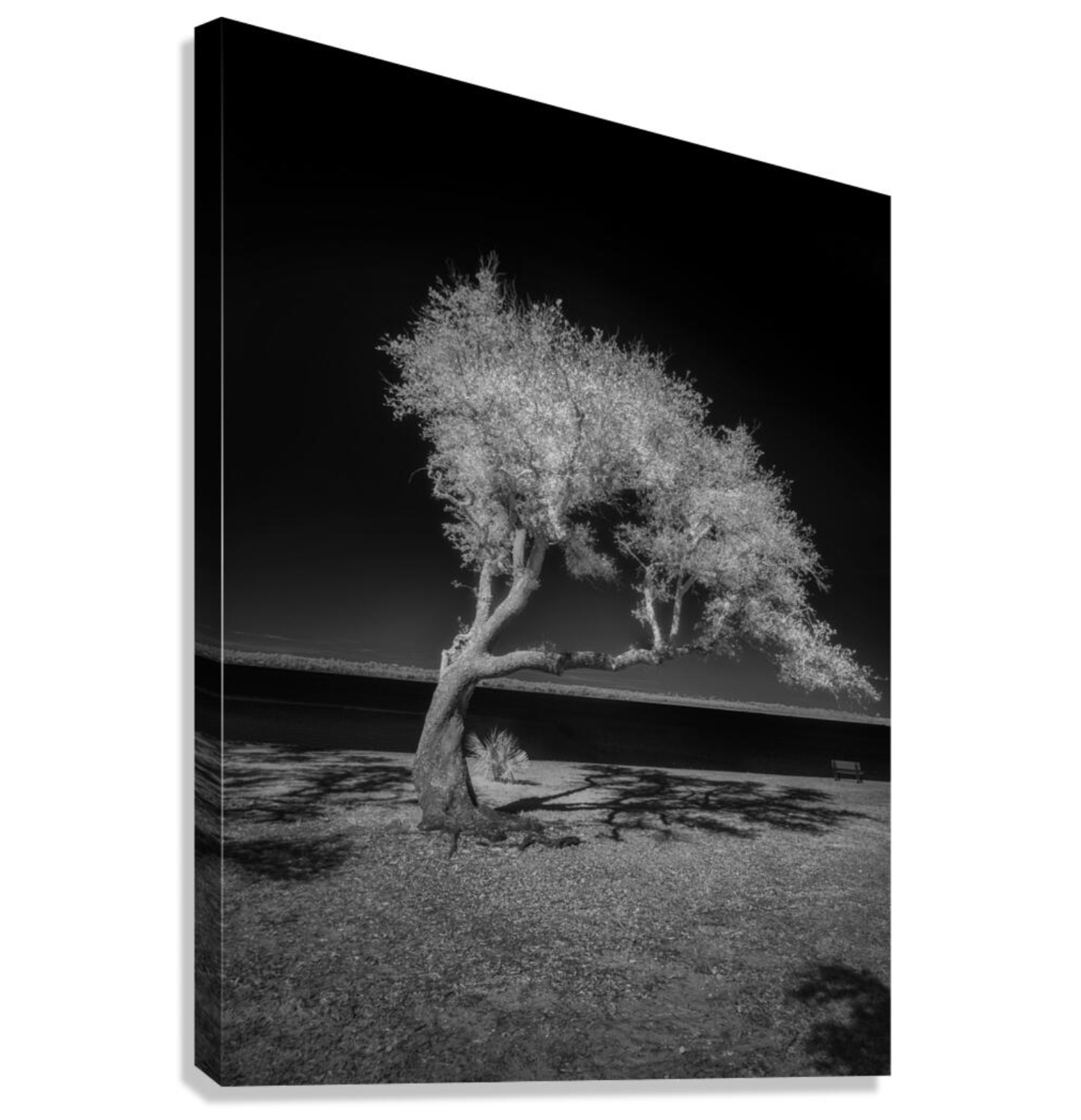 Screenshot 2026-01-16 at 8.45.35 AM.png