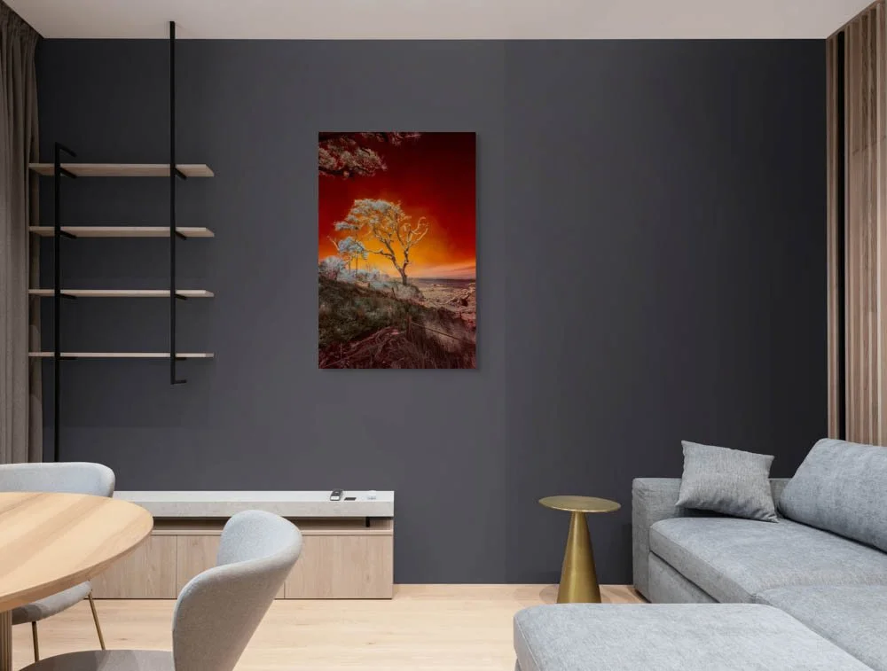 dwi-1712-2597-edit-ruby bonsai- a botanical marvel unveiled on driftwood beach-full.jpg