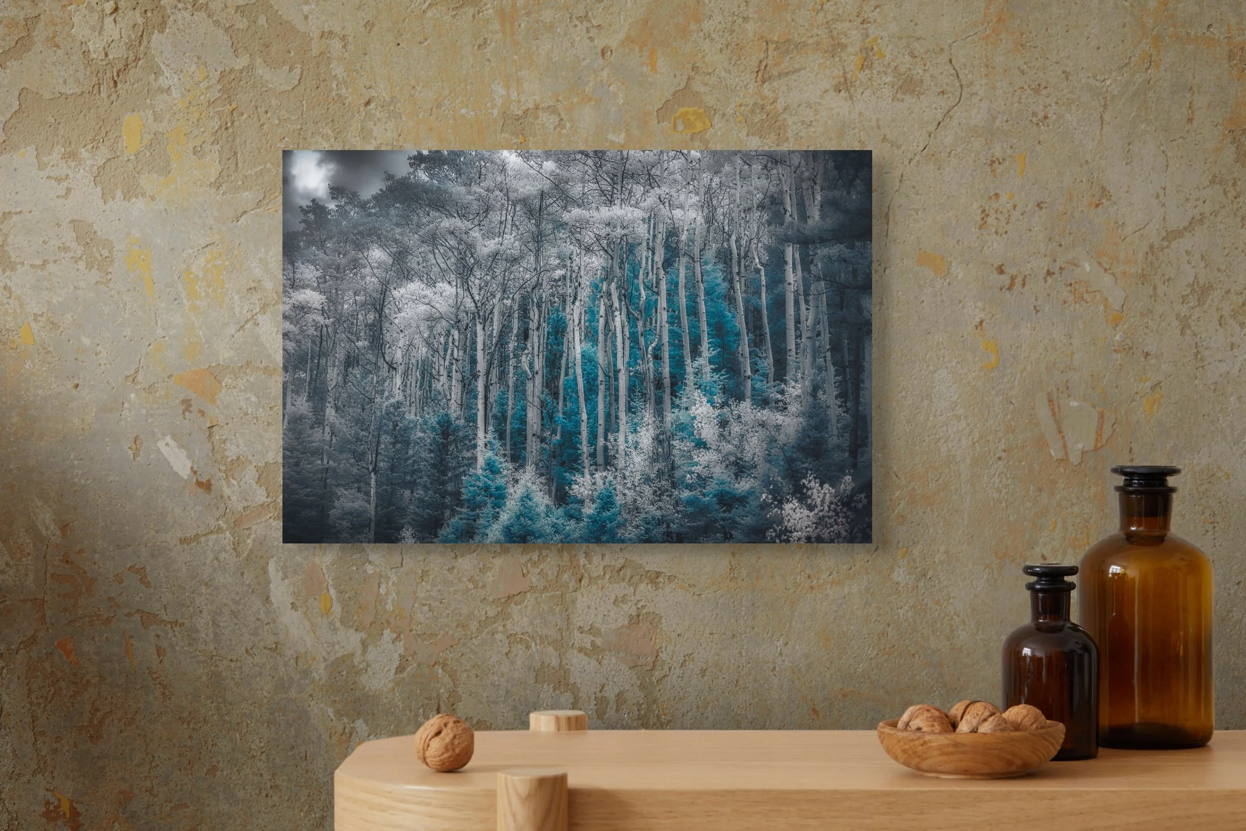 ethereal blue amidst monochrome forest-full (1).jpg