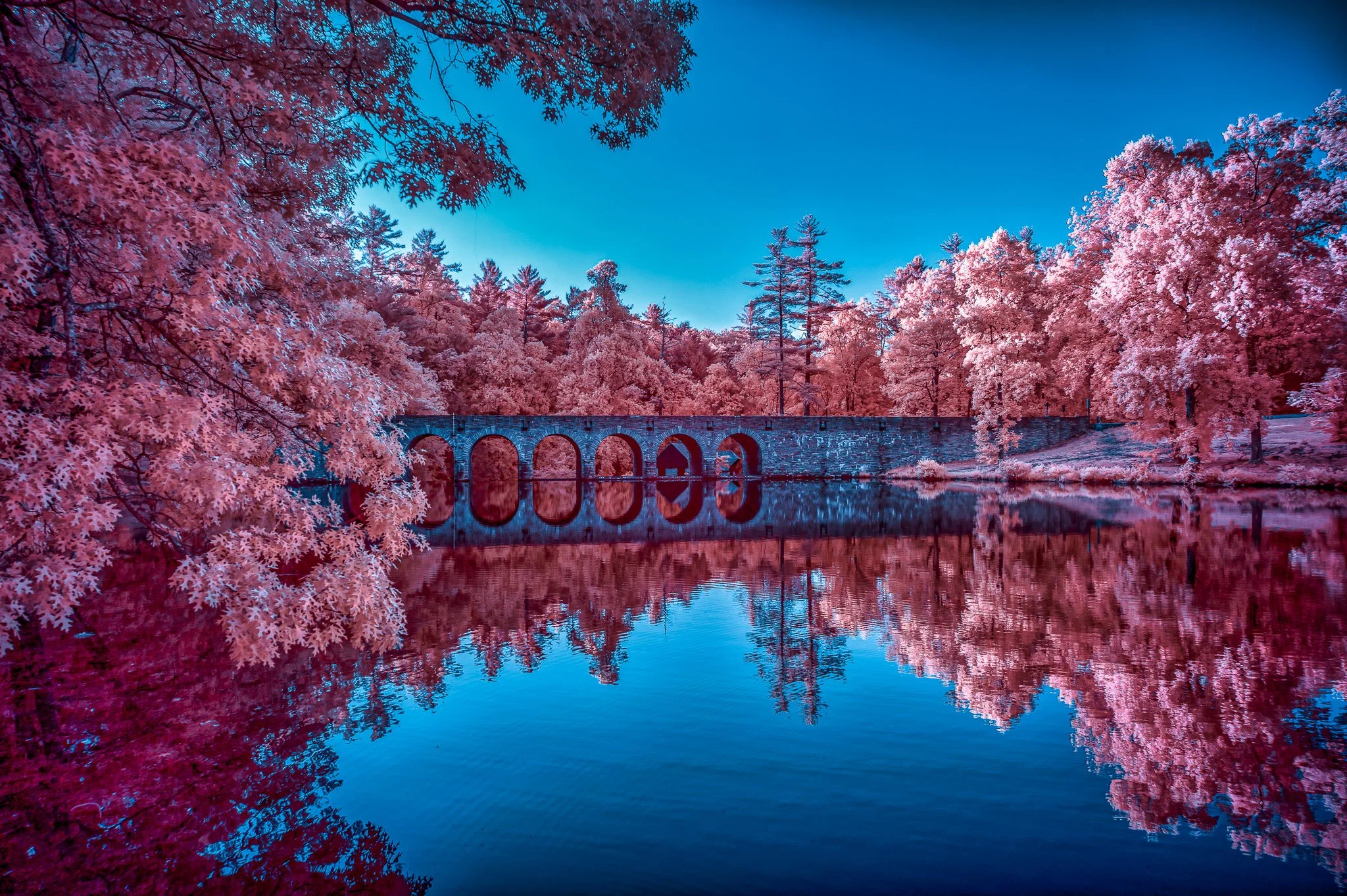 Transform Your Space with Infrared Art