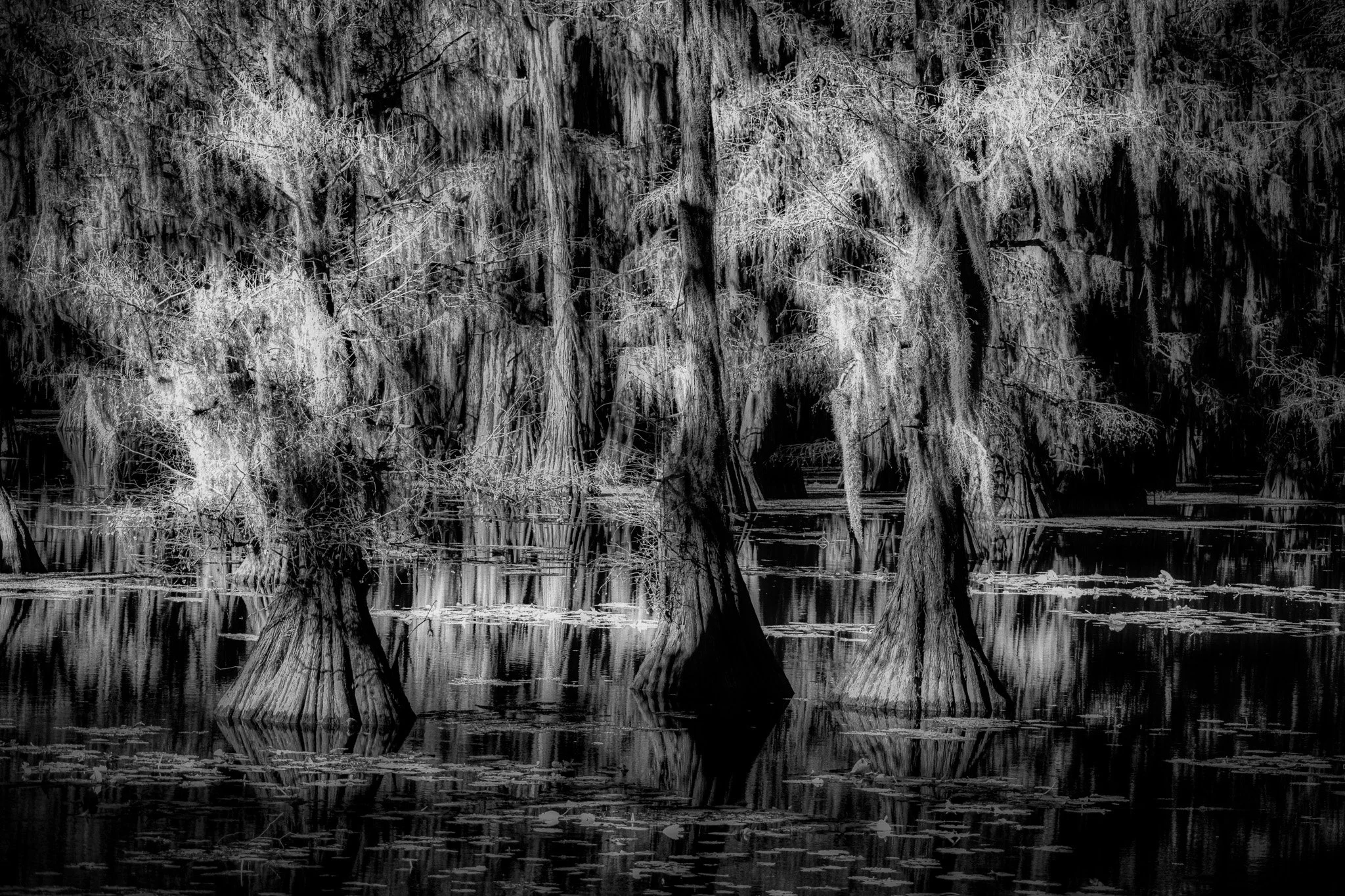 Whispered Apparitions