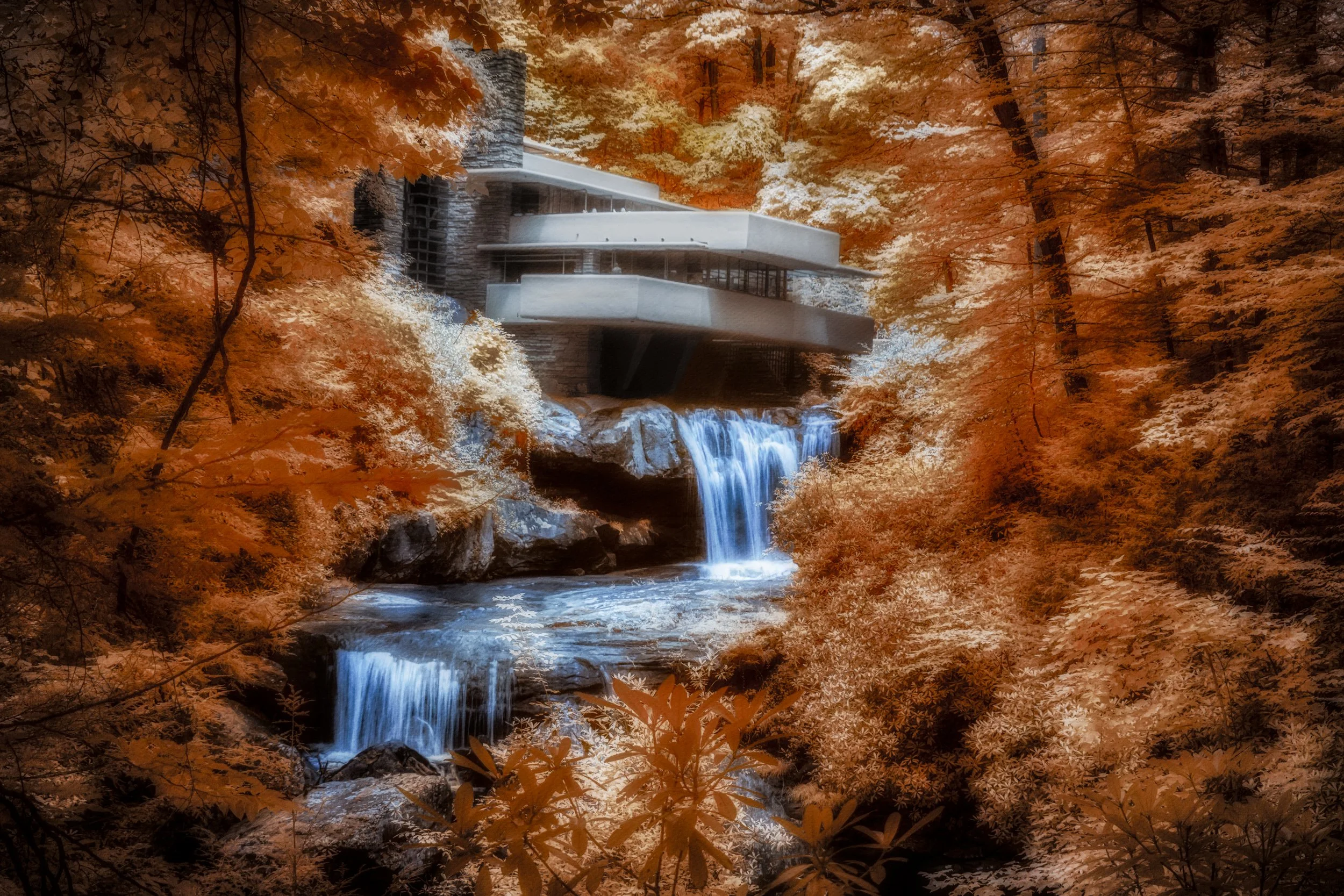 Fallingwater: Where Architecture Enters the Dream