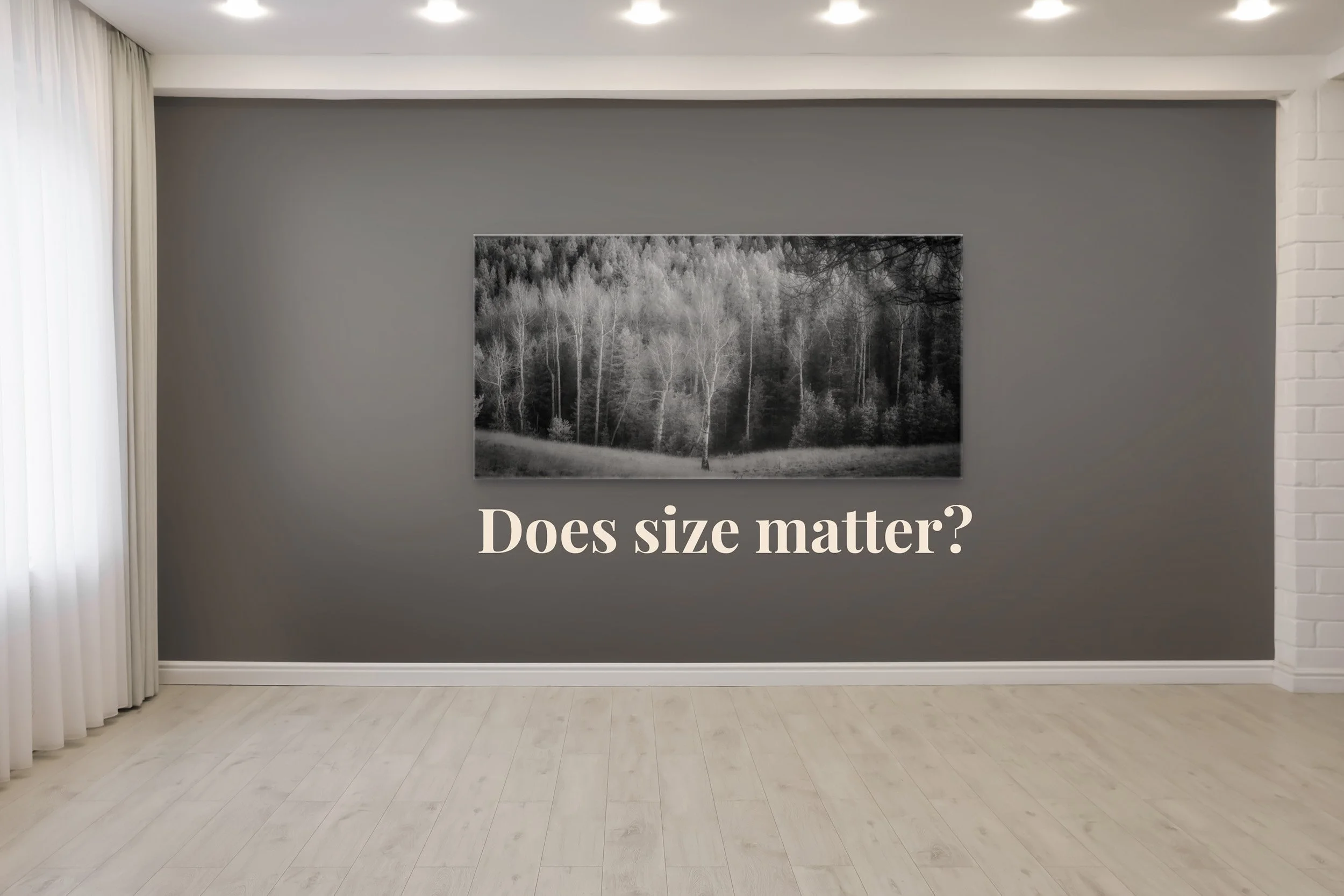 The Collector’s Guide: How to Choose the Right Size Artwork for Your Space