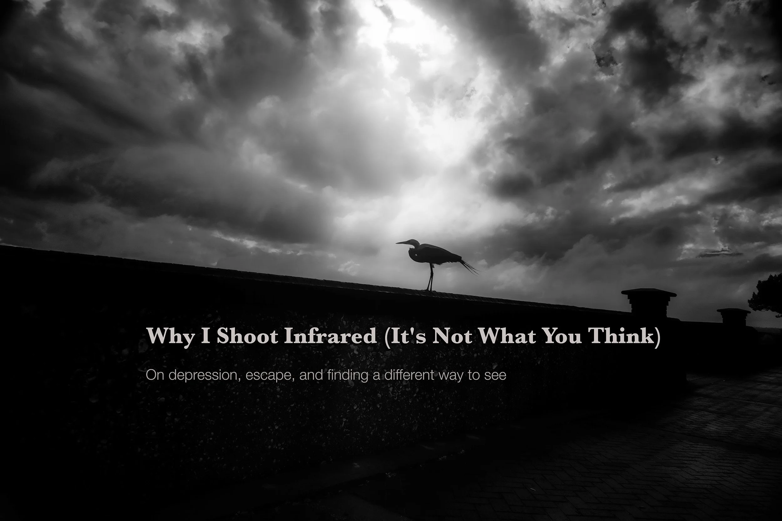 Why I Shoot Infrared (It's Not What You Think)