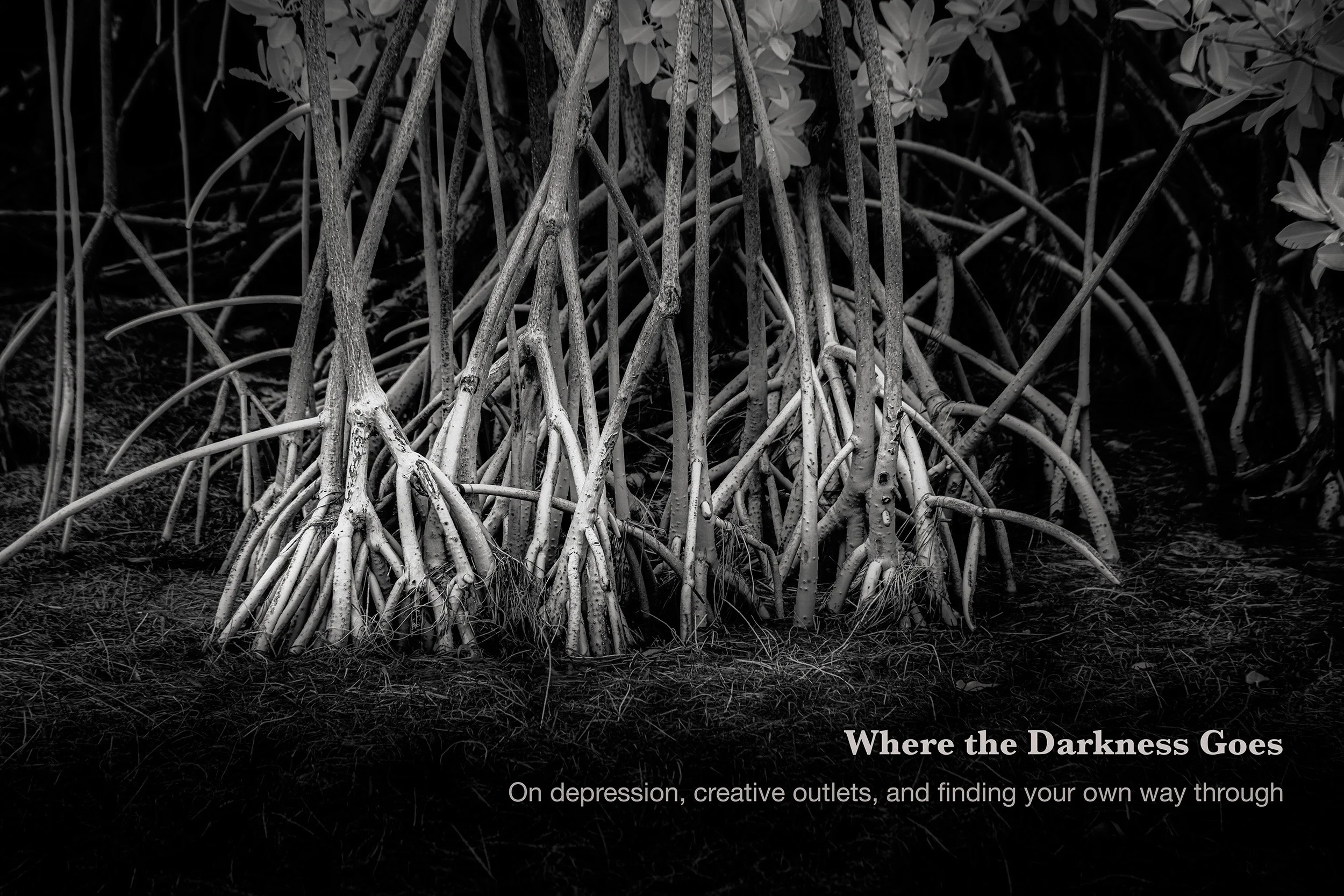 Where the Darkness Goes