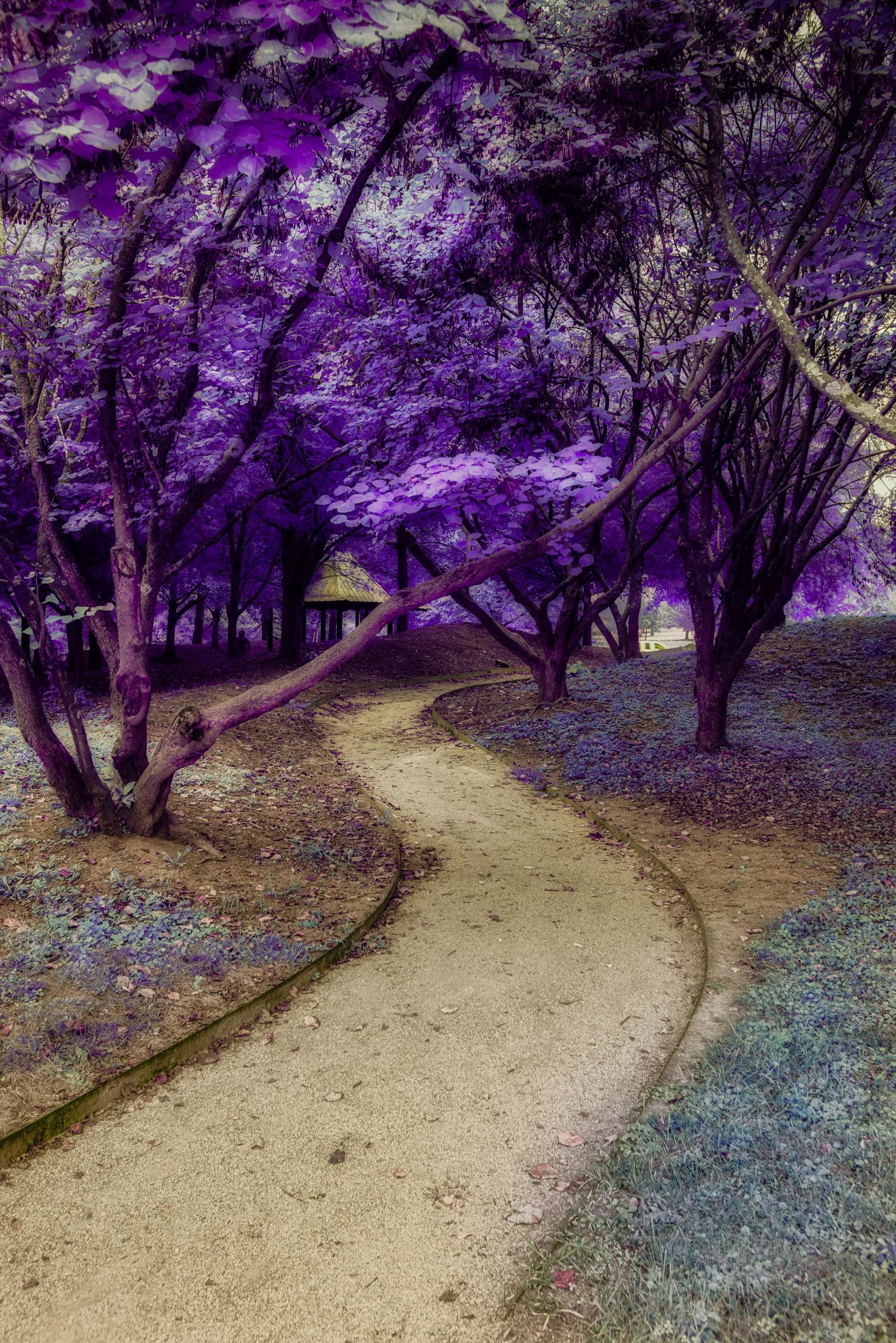 DWI_0196-E1.jpg