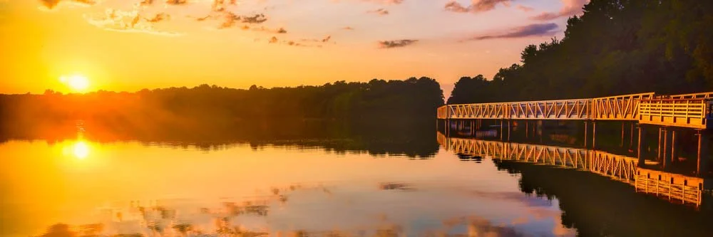 Liquid Amber at Killens Pond
