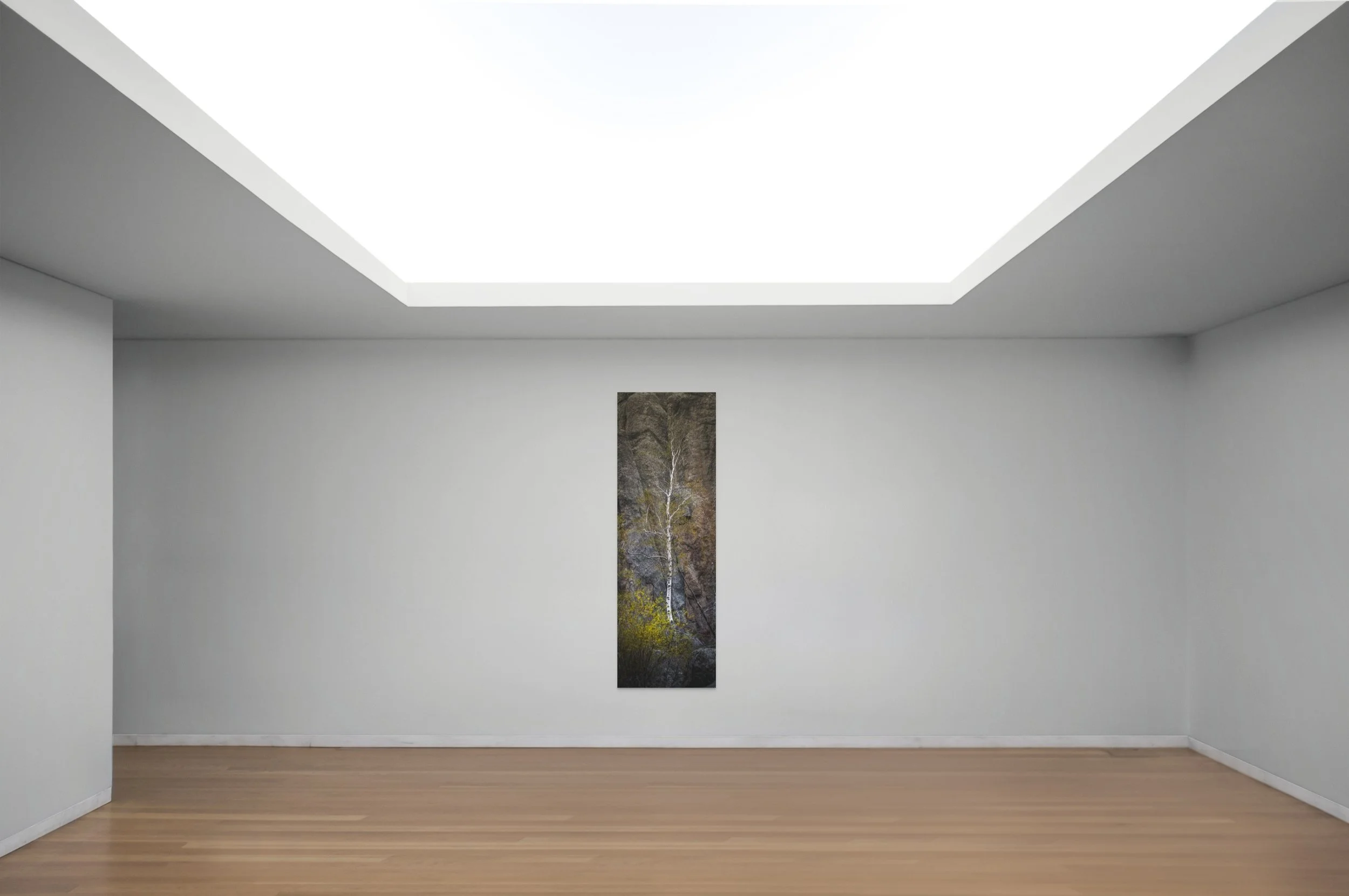 dwi-2795-0523-pano-sylvan lake wonders- the tall aspen behind the lake-2-full.jpg