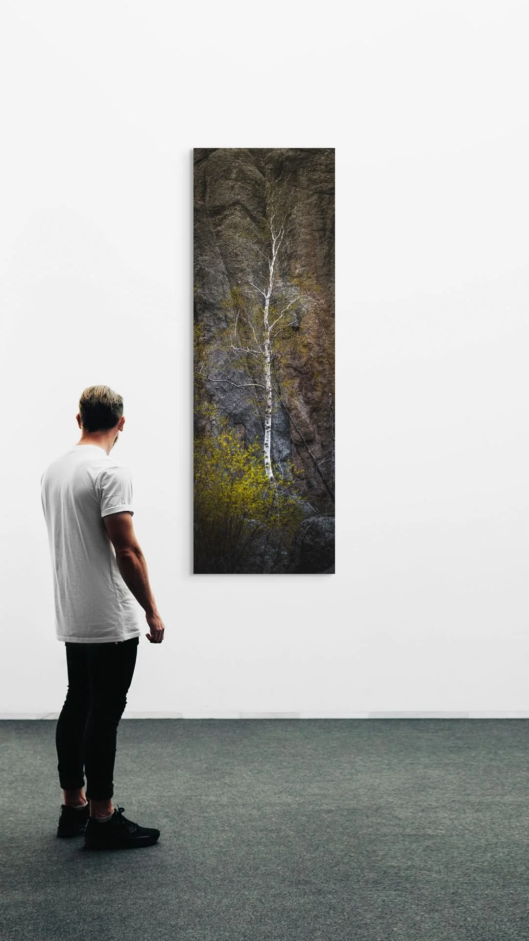 dwi-2795-0523-pano-sylvan lake wonders- the tall aspen behind the lake-2-full (2).jpg