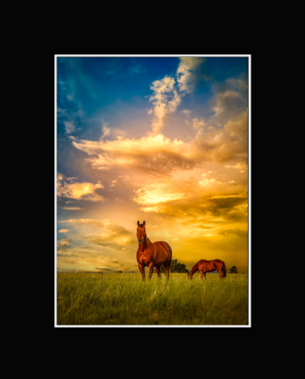 Screenshot 2026-02-17 at 11.33.14 AM.png