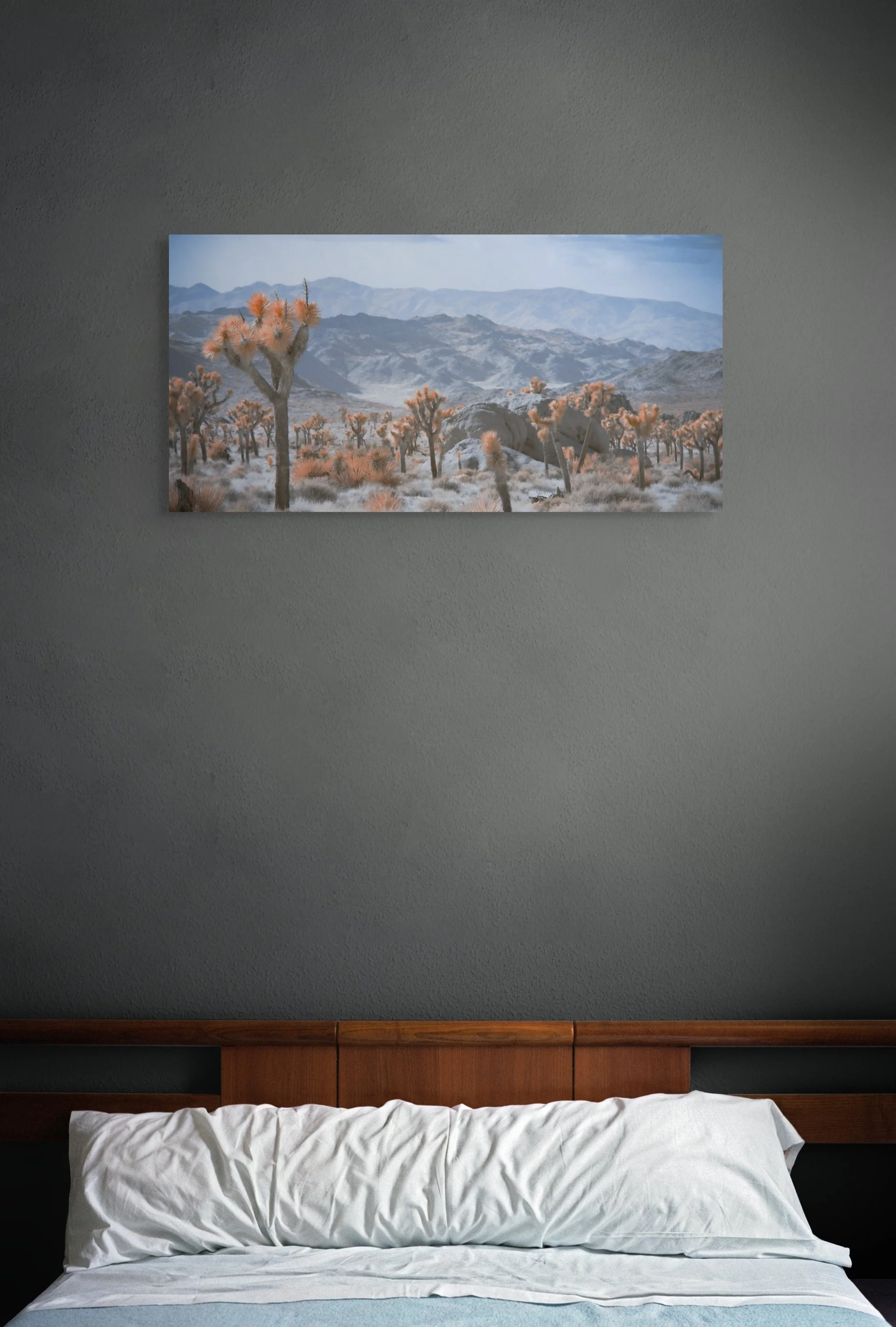 desert's spiky palette-full.jpg