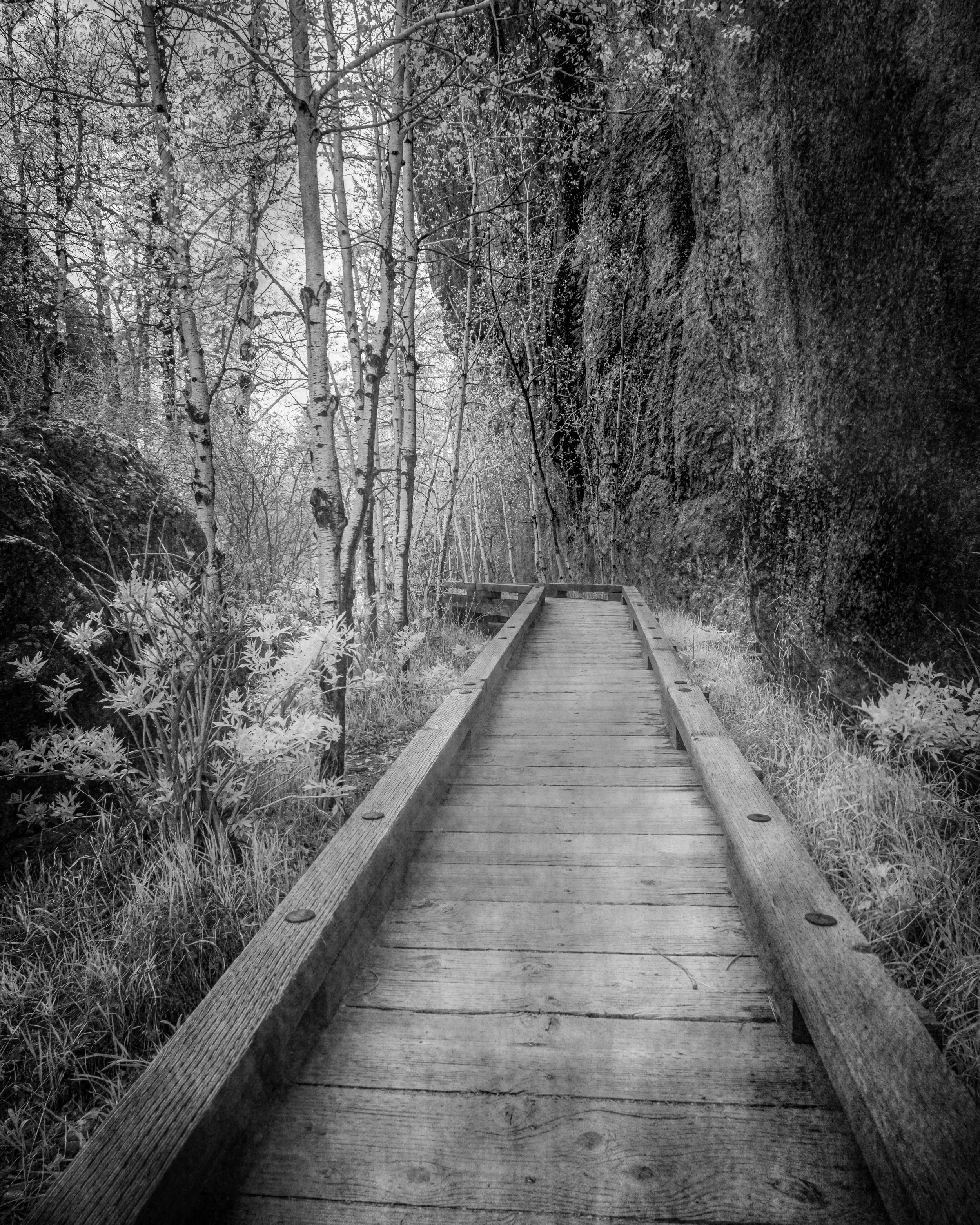 DWI-2123-0523-Mystical Journey- Sylvan Lake Wooden Trail in Infrared-2.jpg