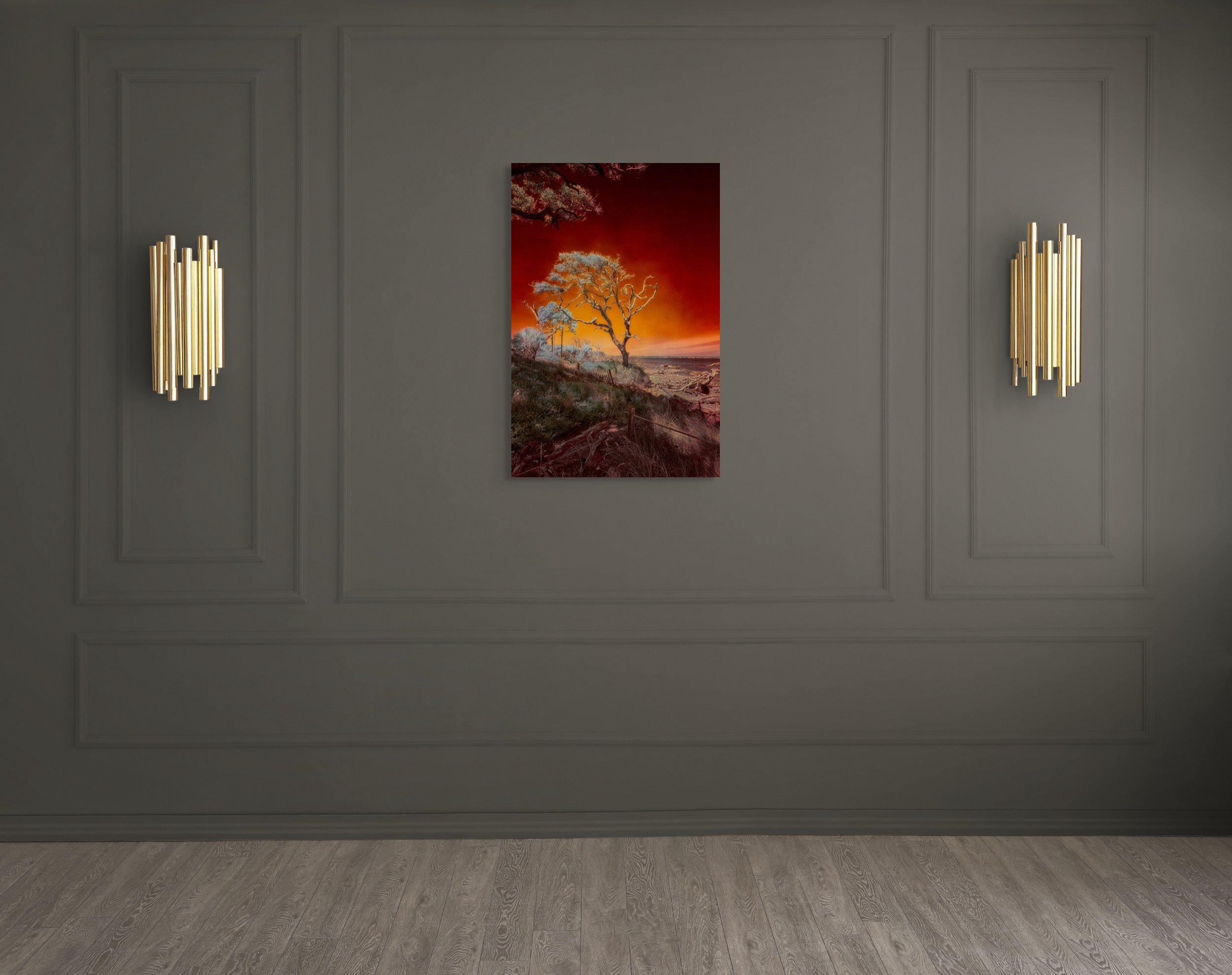 dwi-1712-2597-edit-ruby bonsai- a botanical marvel unveiled on driftwood beach-full (2).jpg