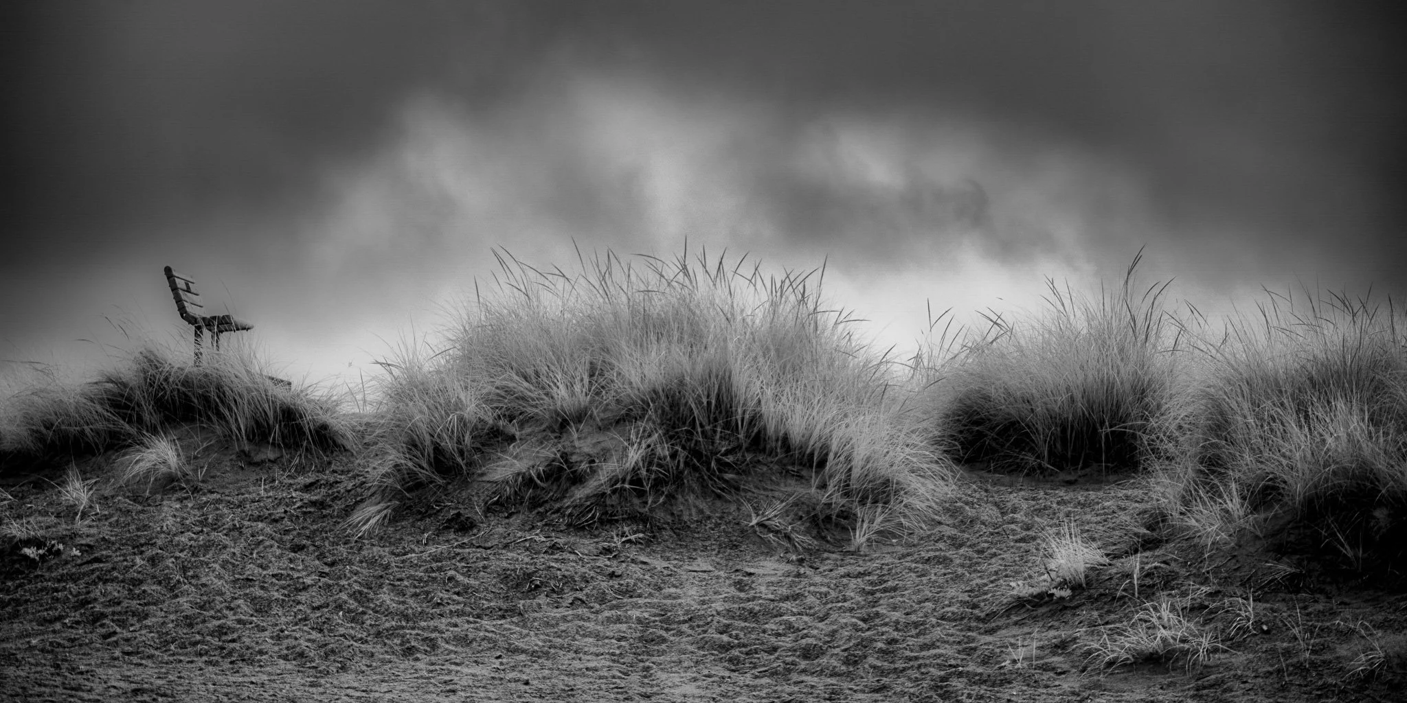 Contemplation Before the Storm