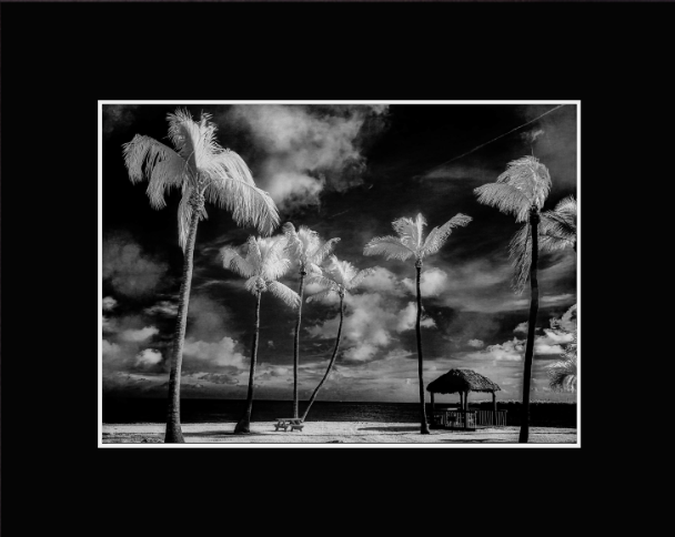 Screenshot 2026-01-27 at 9.15.19 AM.png