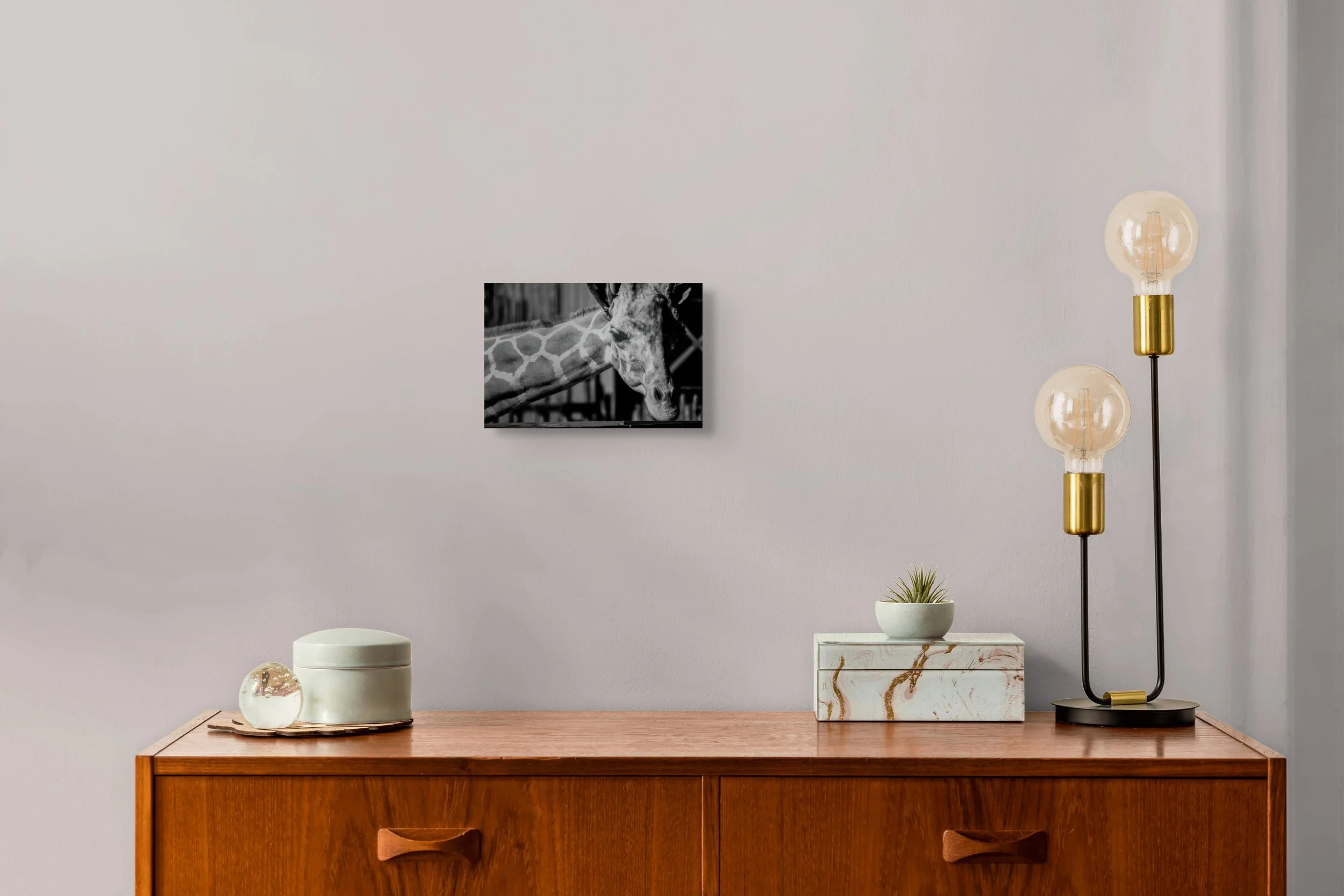 dwi_5283-full (2).jpg