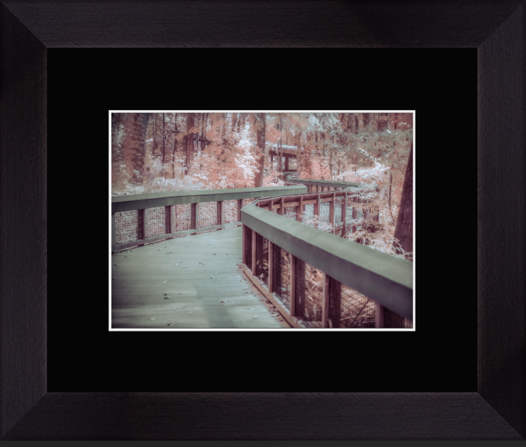 Screenshot 2026-01-27 at 9.06.24 AM.png