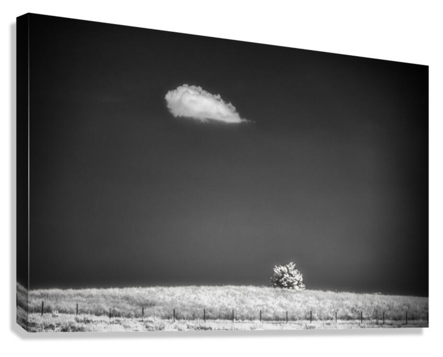 A solitary tree beneath a passing cloud, with a vast expanse of darkness separating the two forms.