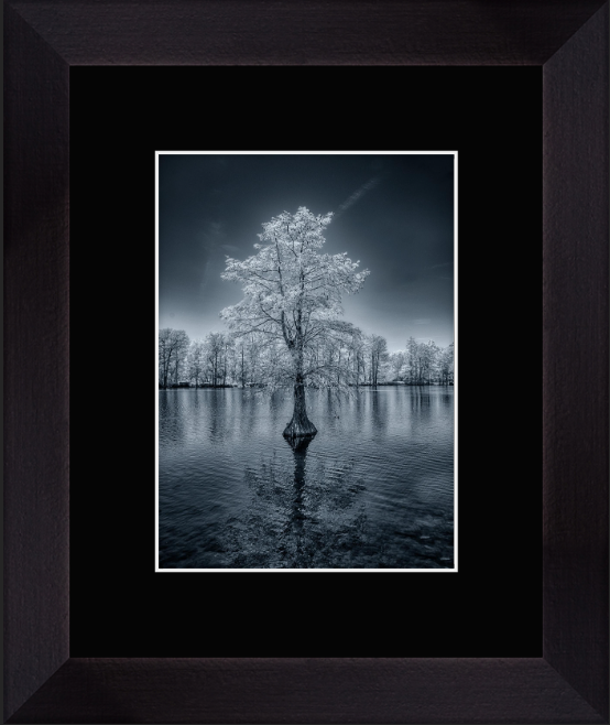 Screenshot 2026-01-26 at 9.09.22 PM.png