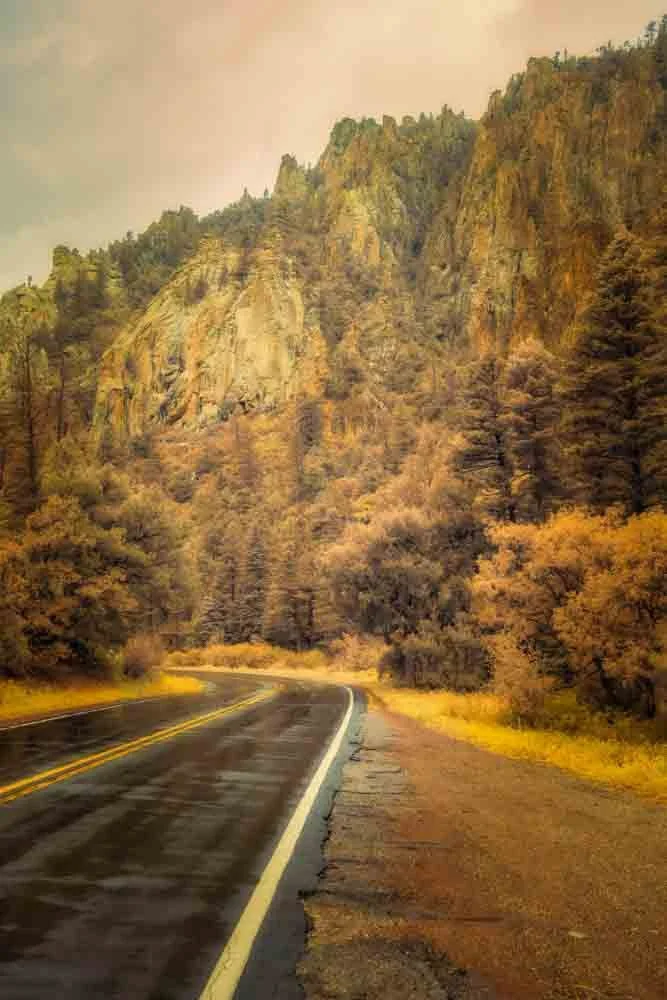 Reflections of a Rain-Kissed Road