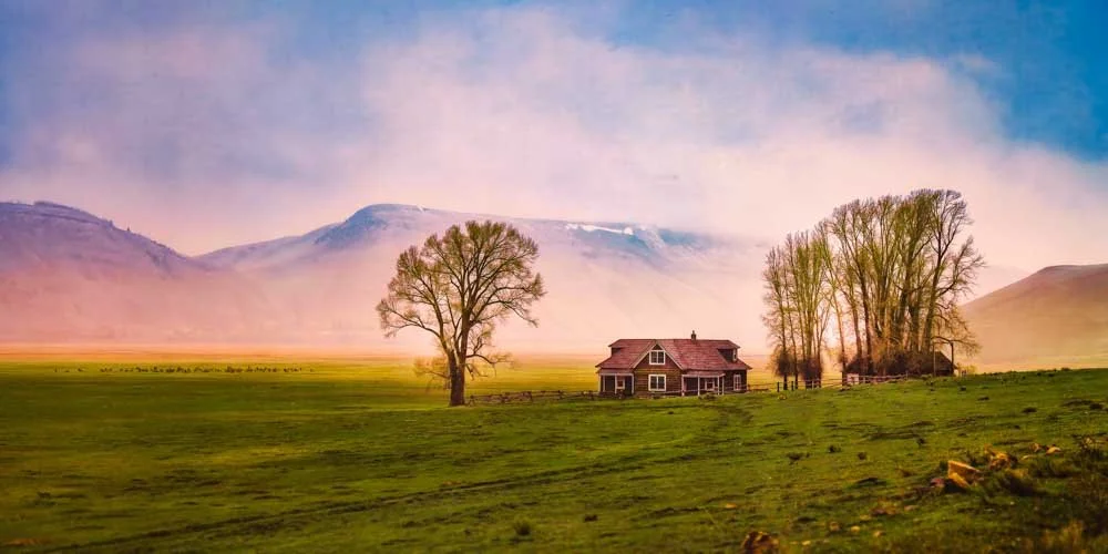 Winter's Mountain Watch