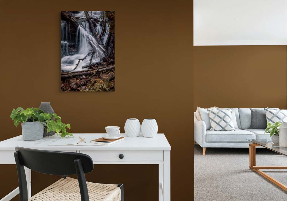 liquid light through nature's framework-full (2).jpg